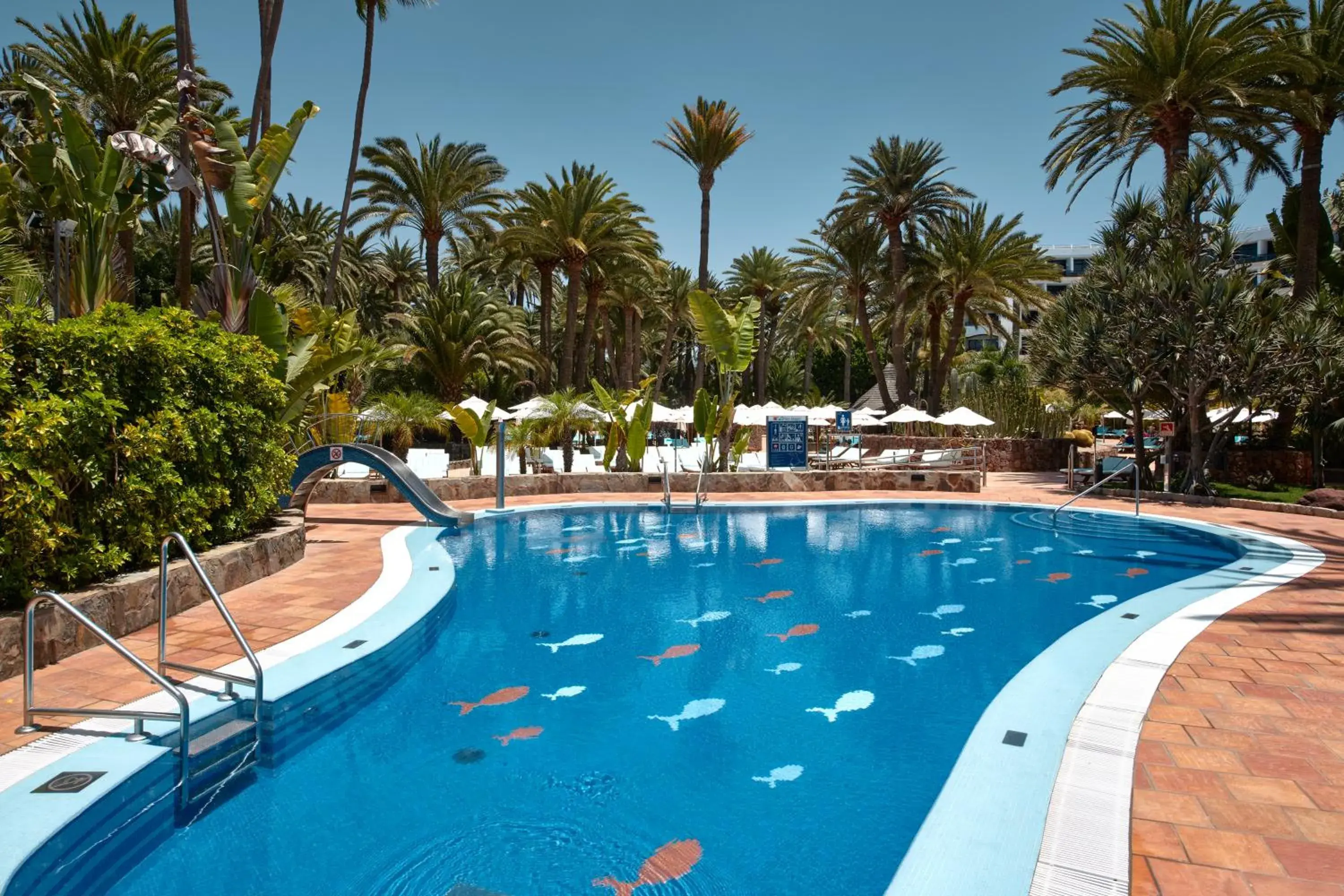 Swimming Pool in Seaside Palm Beach