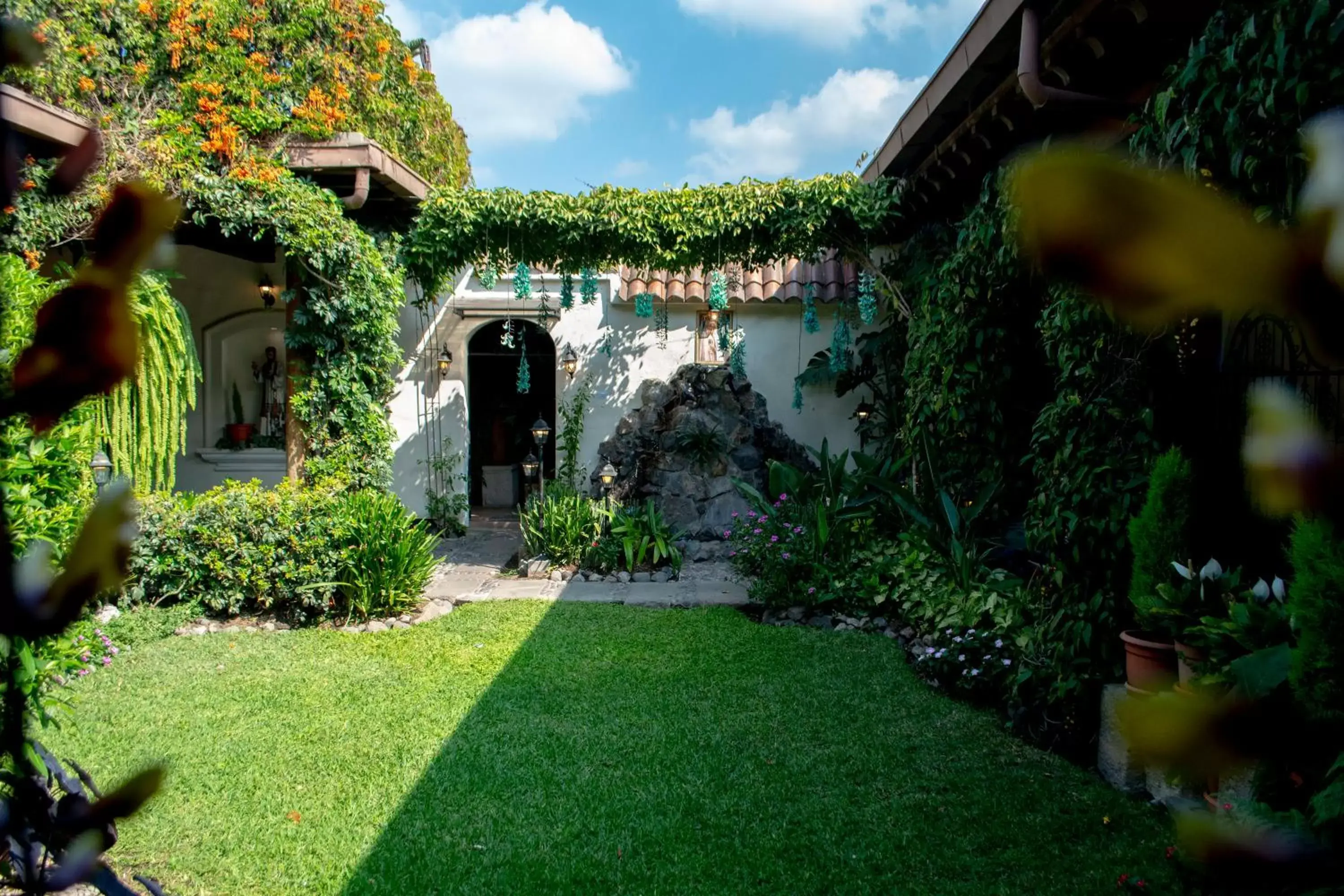 Patio, Garden in Hotel La Catedral