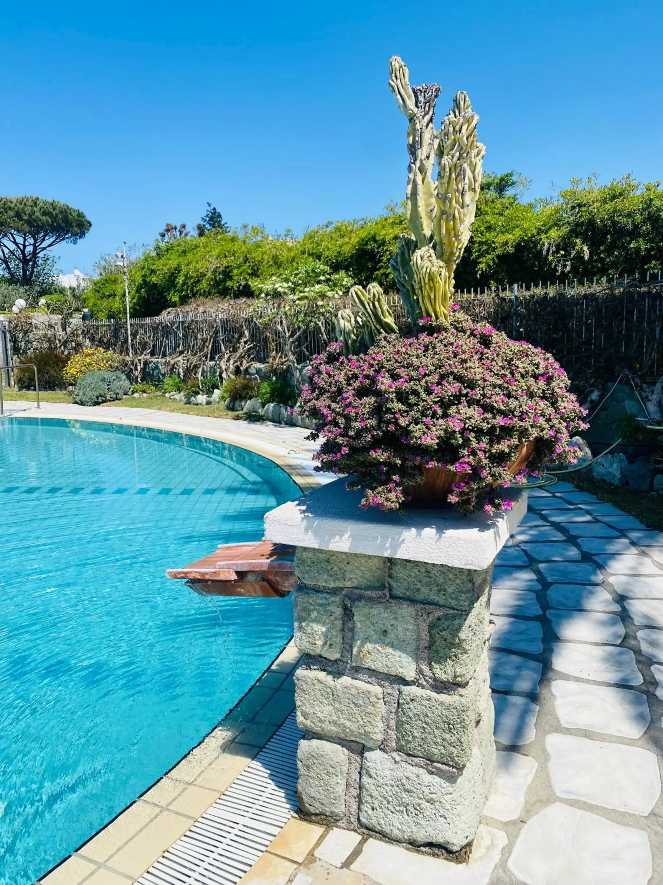 Swimming Pool in Hotel Ideal