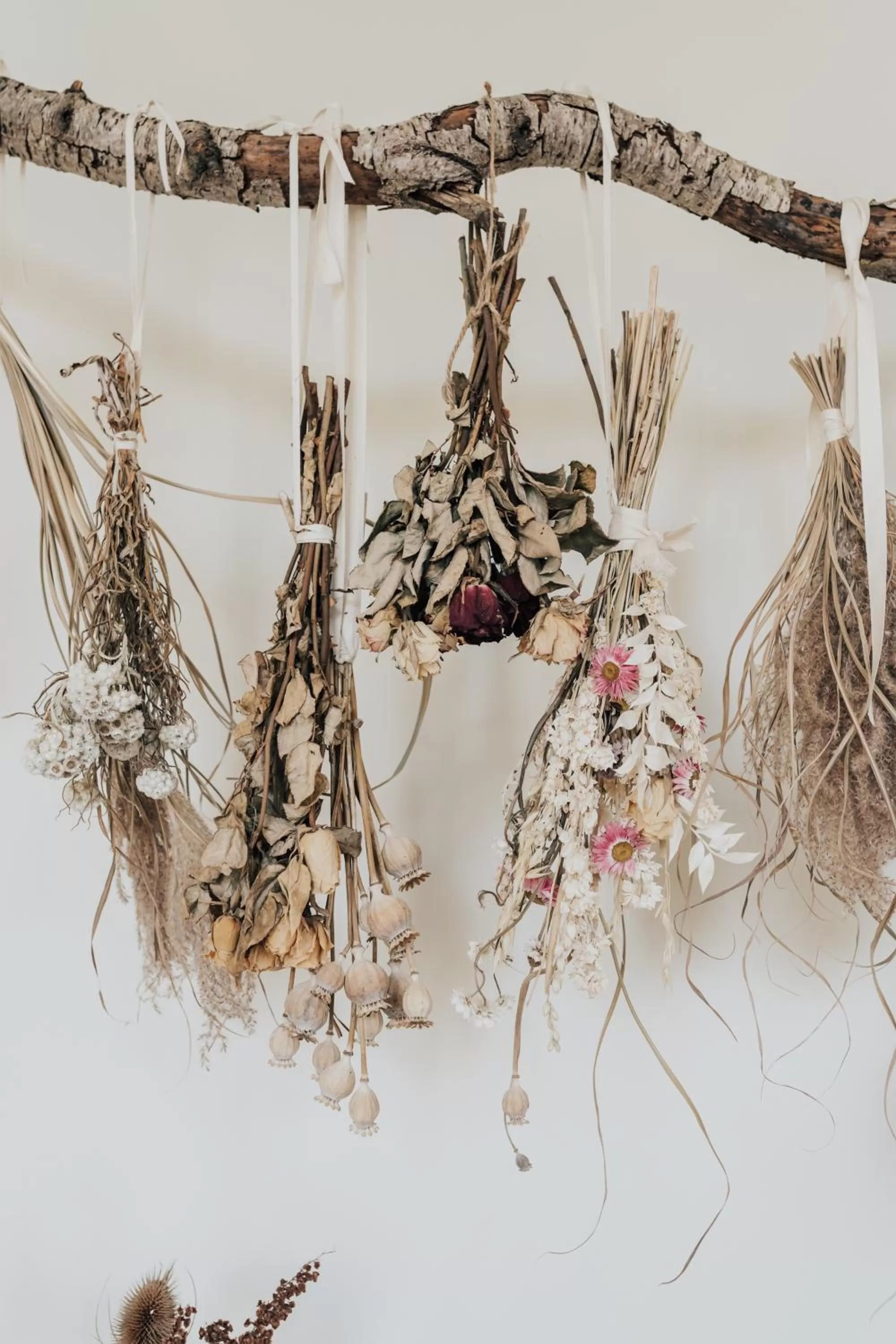 Winter in Birch Cheshunt