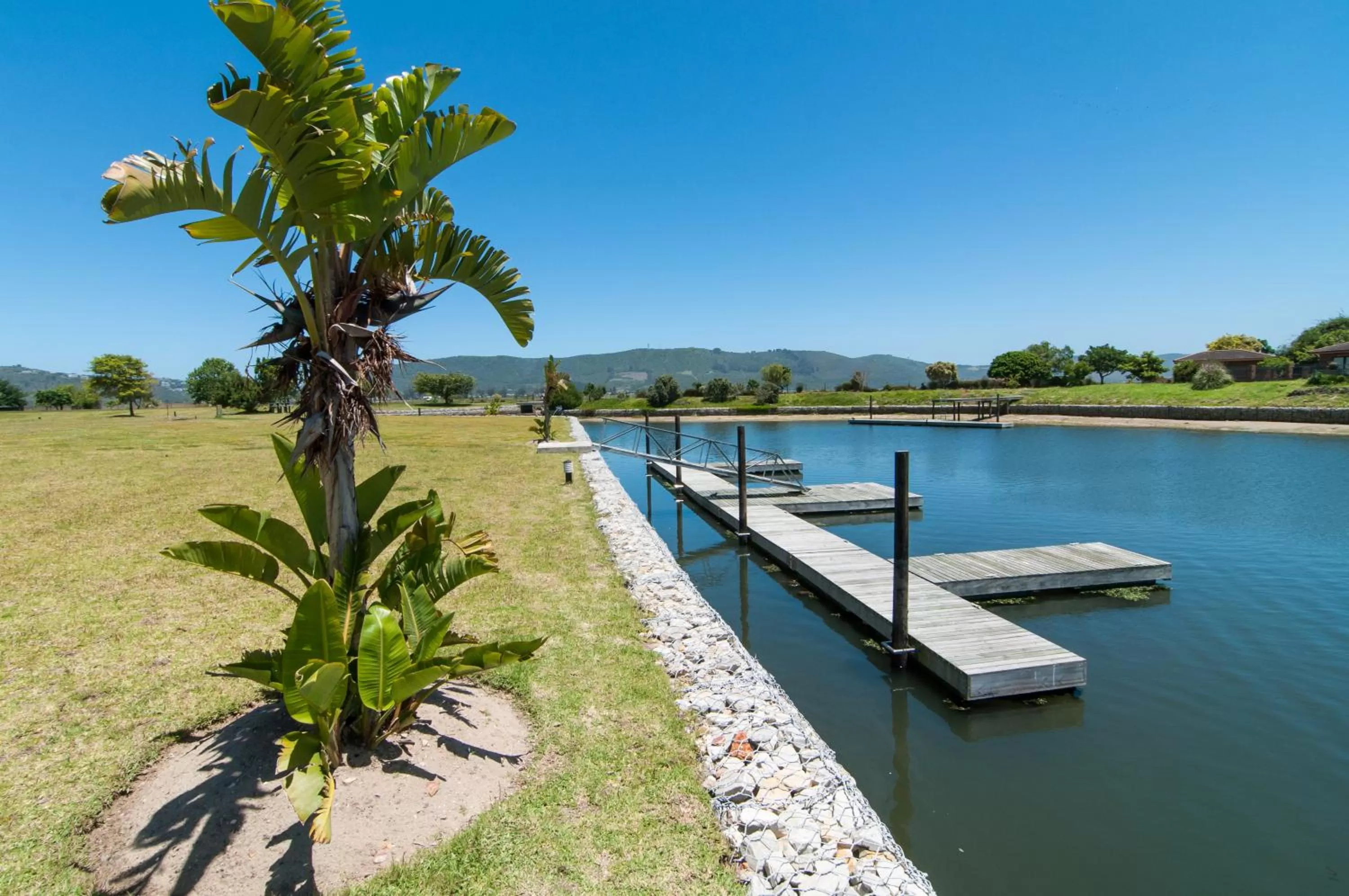 Natural landscape in Premier Resort The Moorings, Knysna