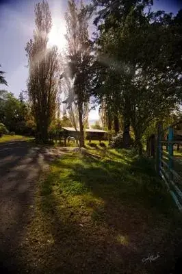 Natural landscape in Wildwood Farm Bed & Breakfast