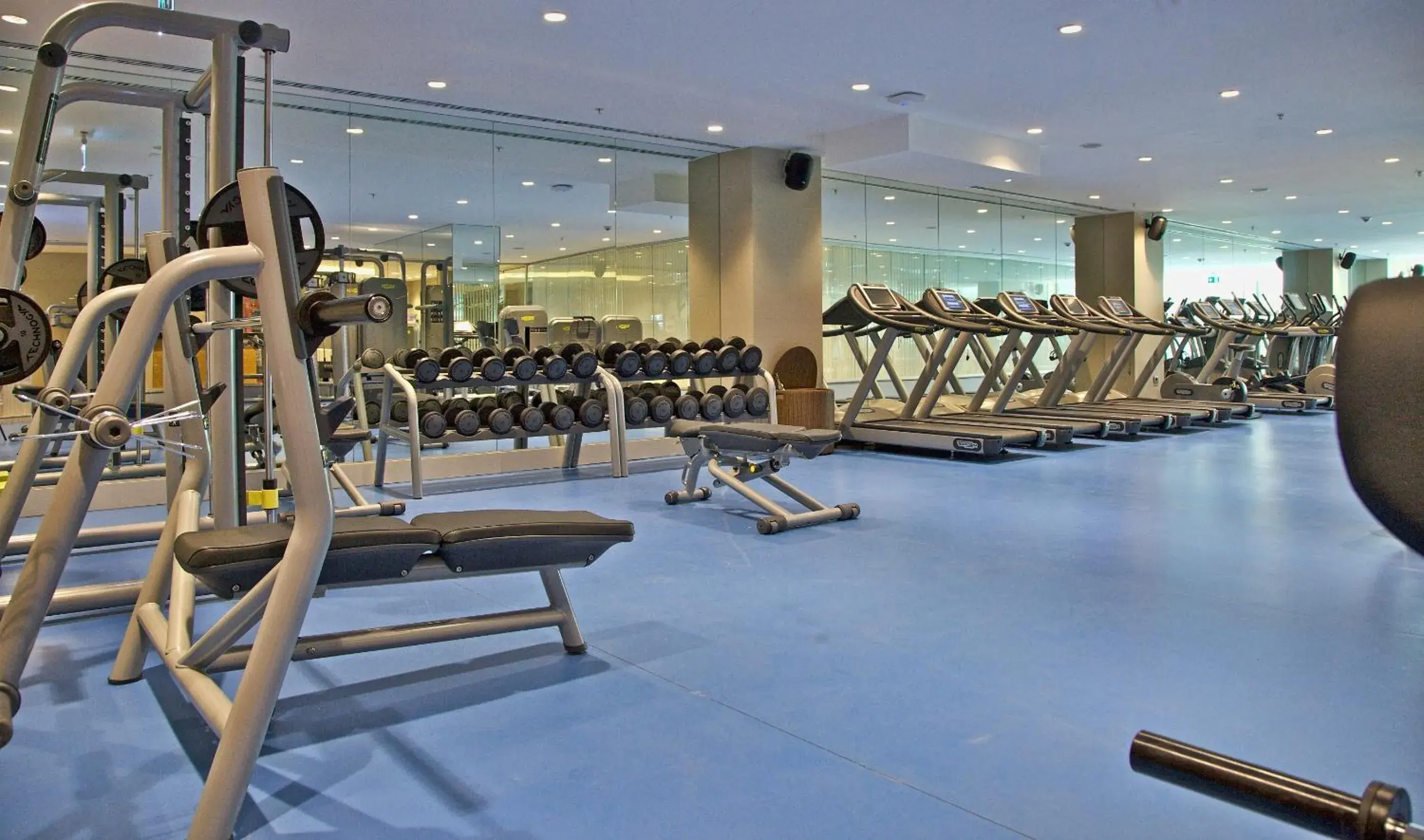 Fitness centre/facilities, Fitness Center/Facilities in Retaj Royale Istanbul