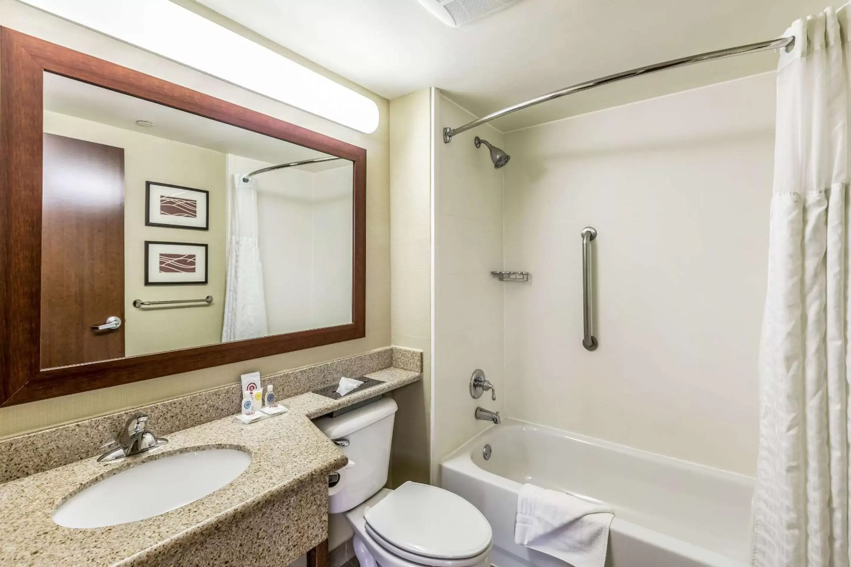 Bathroom in Comfort Inn Medford-Long Island