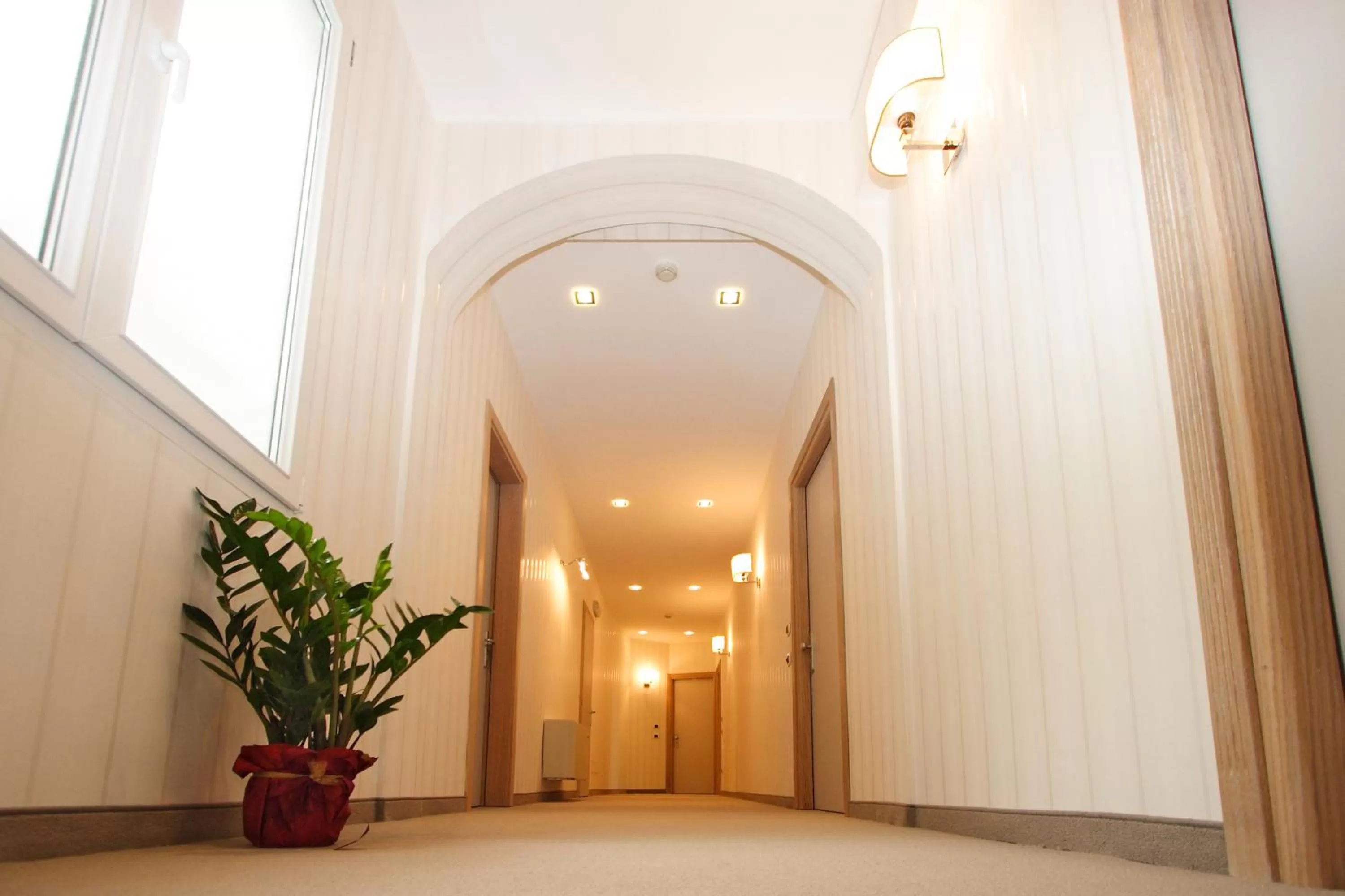 Area and facilities in Hotel Roma