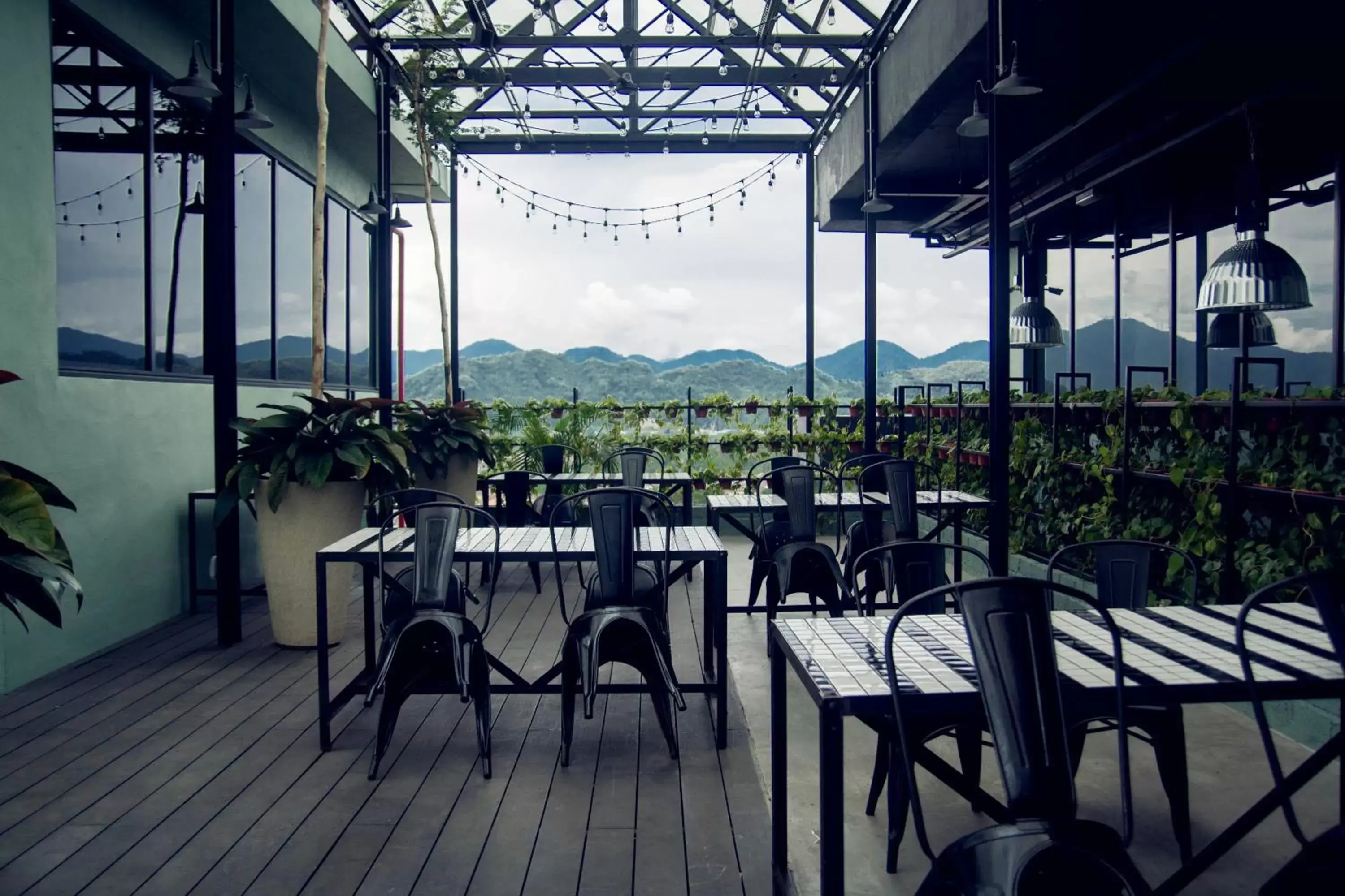 Mountain view, Restaurant/Places to Eat in M Roof Hotel & Residences