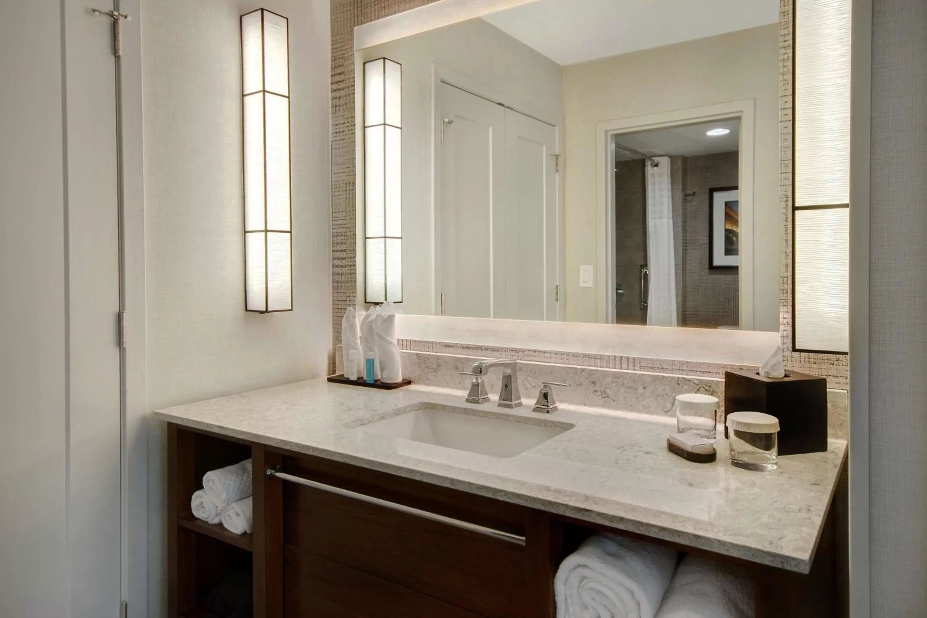 Bathroom in Embassy Suites by Hilton Detroit Metro Airport