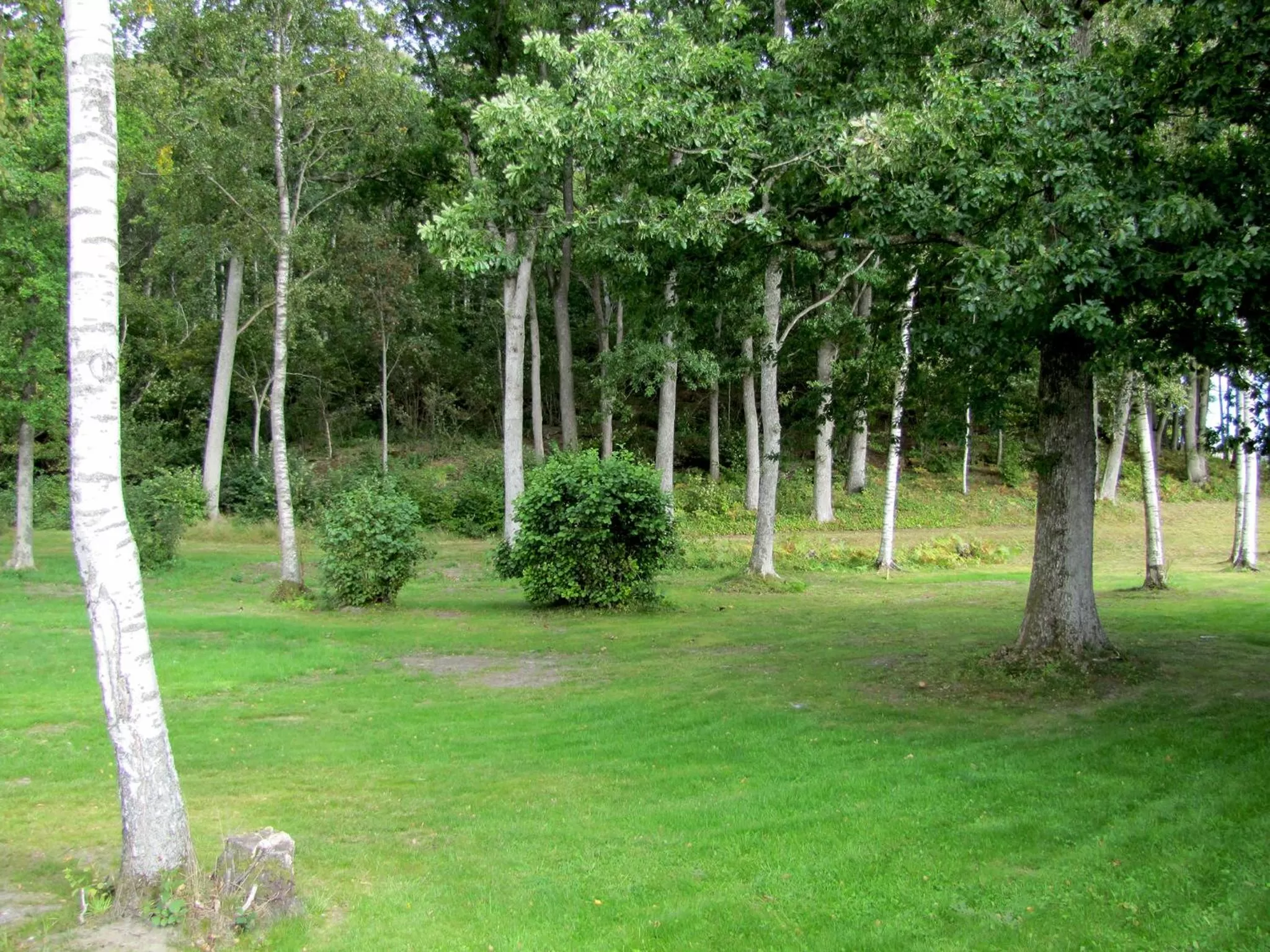 Property building in Hotell Munkeröd