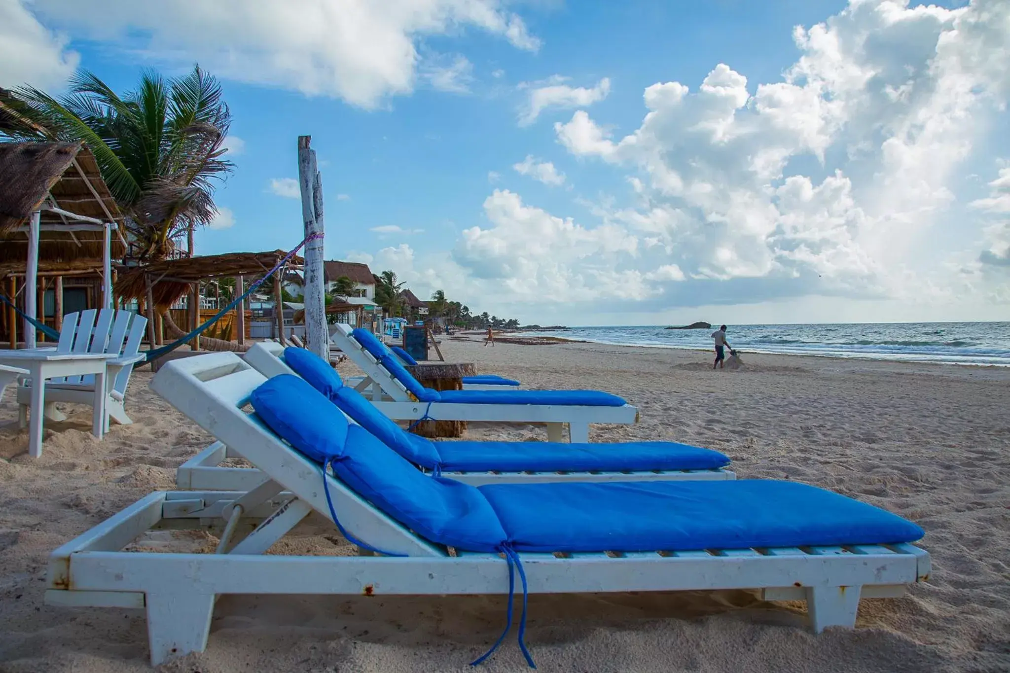 Natural landscape, Beach in Posada Lamar Tulum Beach Front and Pool