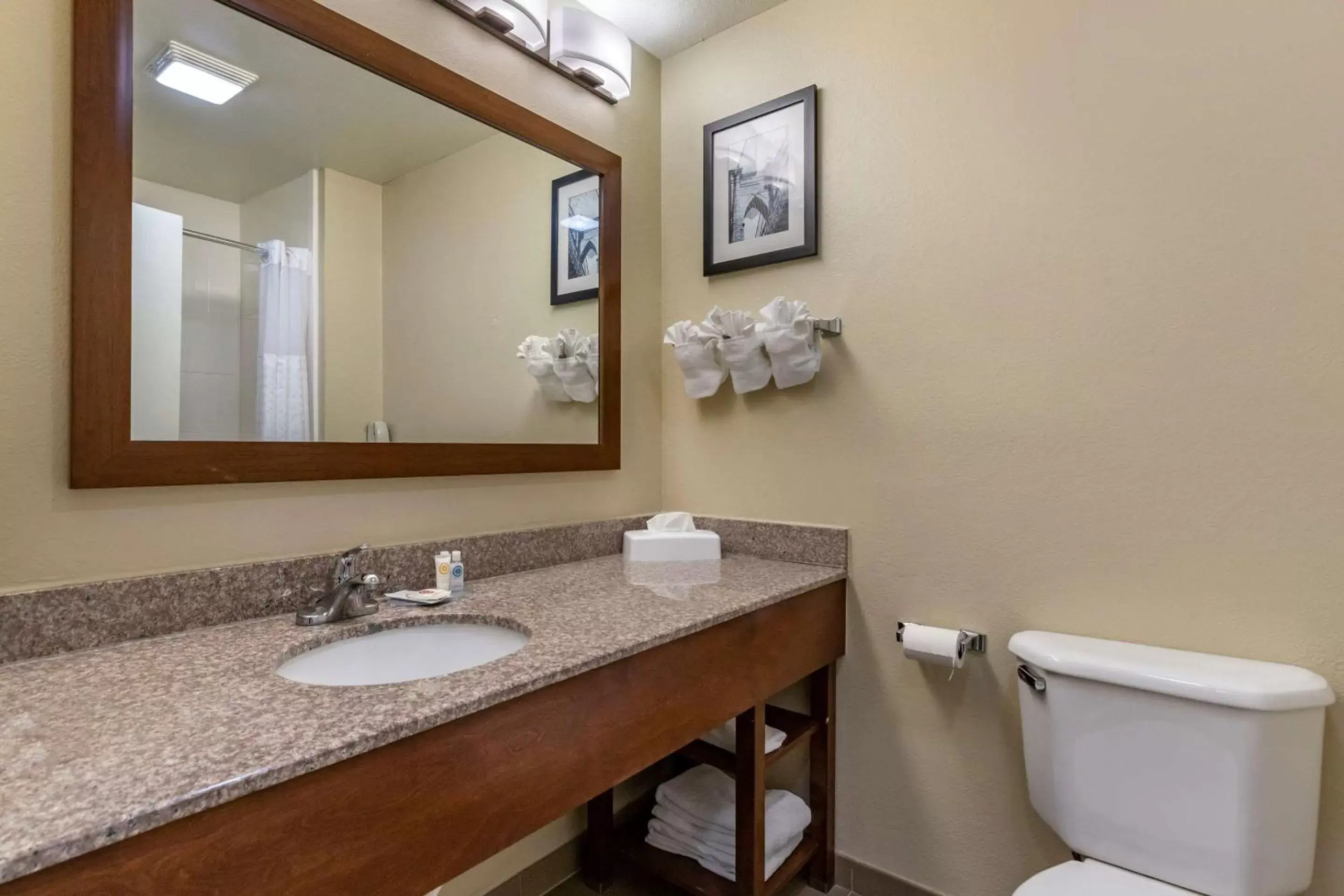 Bathroom in Comfort Inn & Suites Texas Hill Country