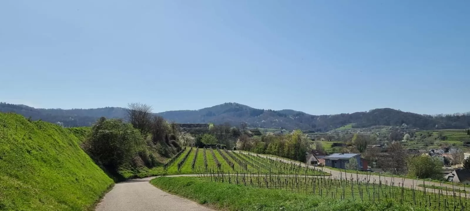 Natural landscape in Hotel Engel