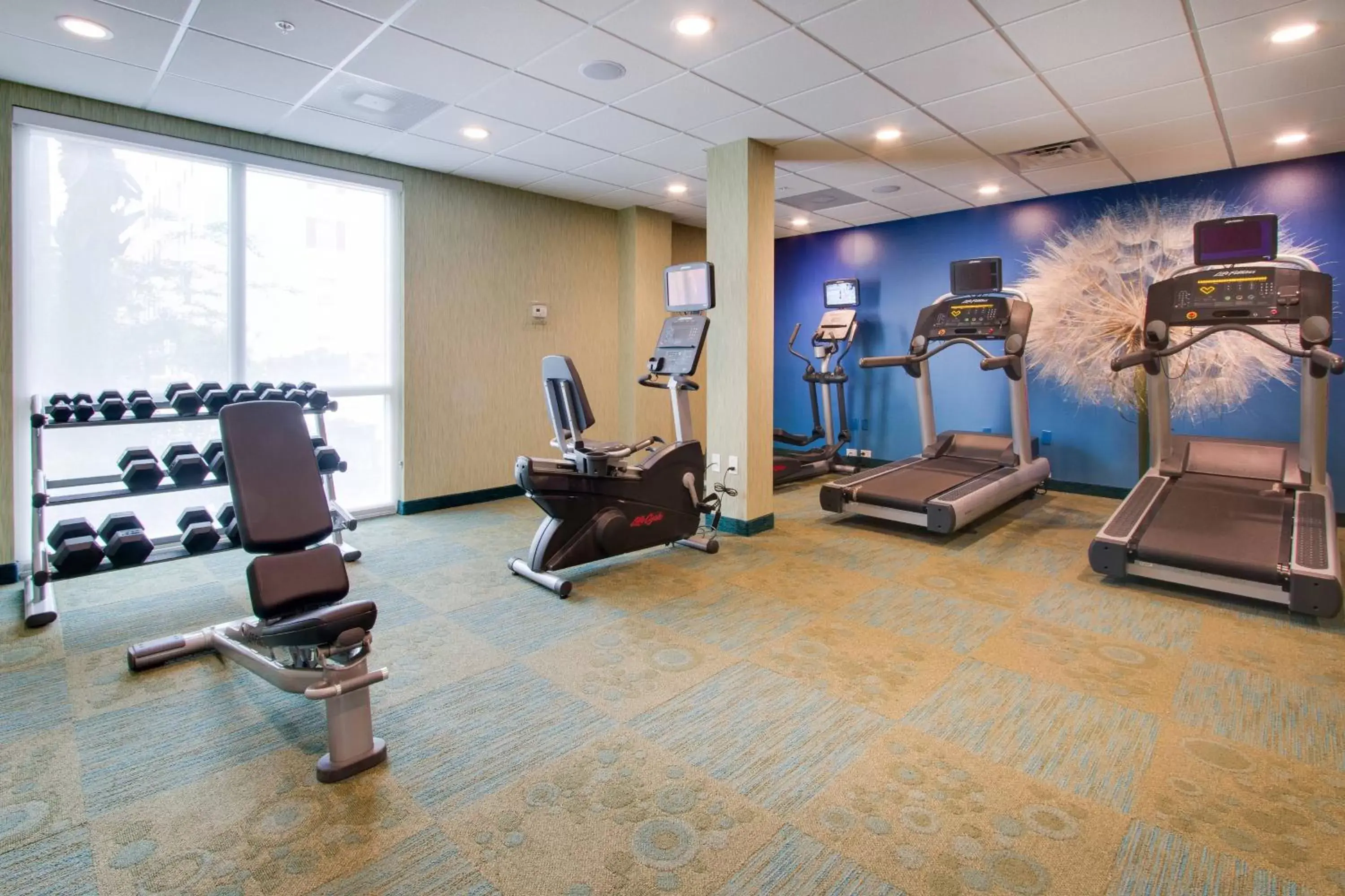 Fitness centre/facilities, Fitness Center/Facilities in SpringHill Suites by Marriott Orlando Lake Buena Vista South