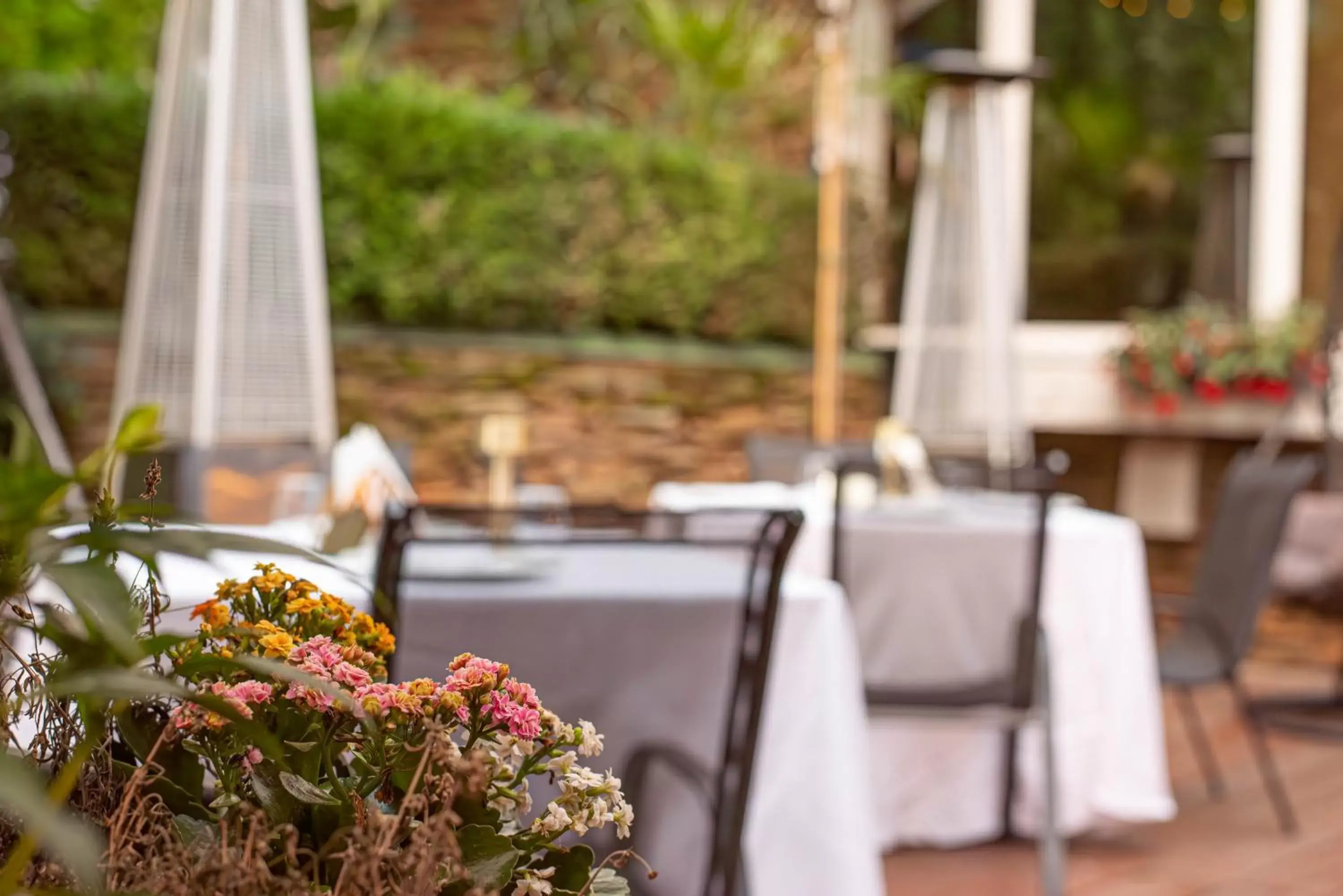 Garden, Restaurant/Places to Eat in Hotel Carpathia