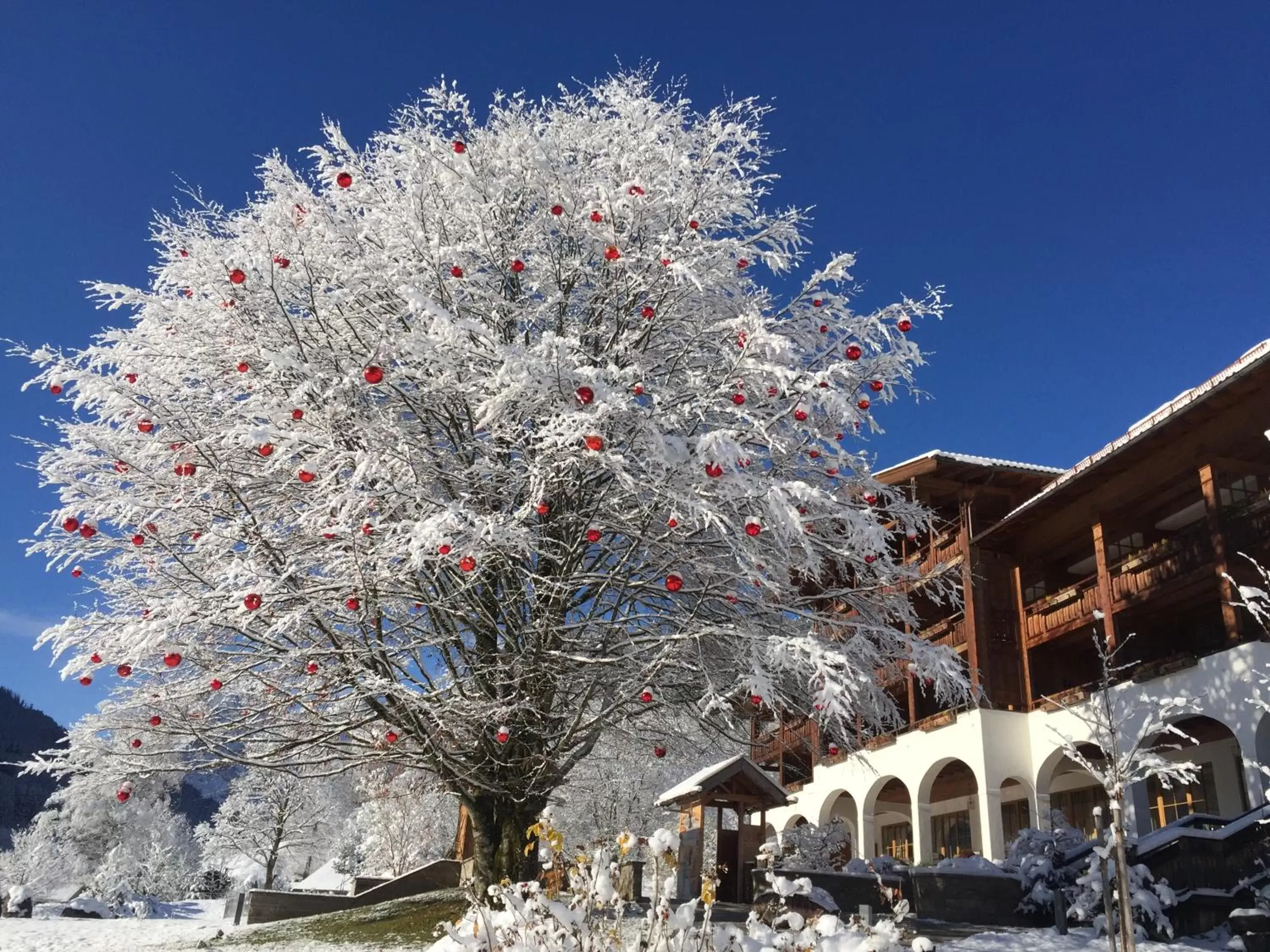 Winter in Berghotel Rehlegg