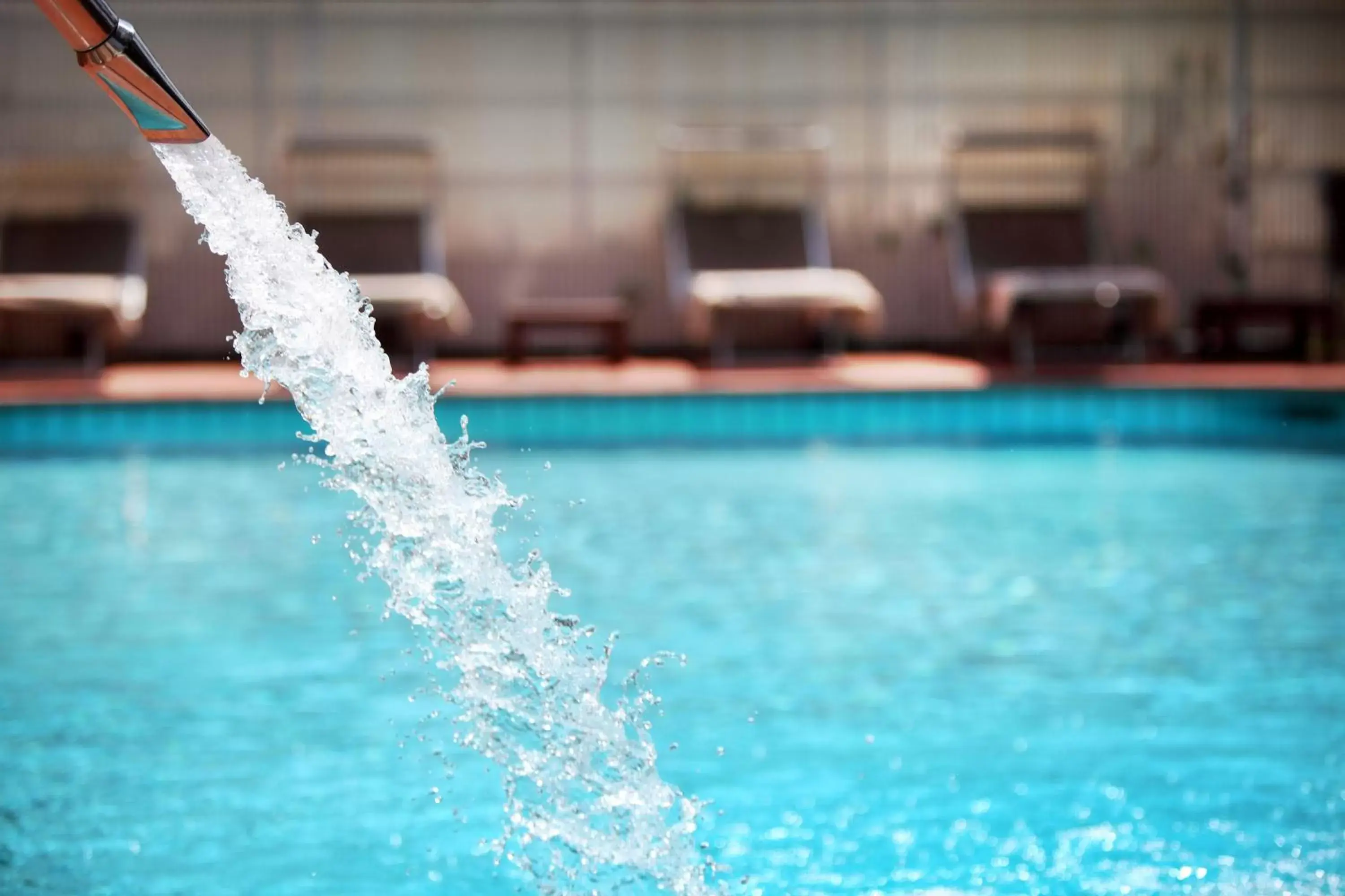 Pool view, Swimming Pool in National Hotel