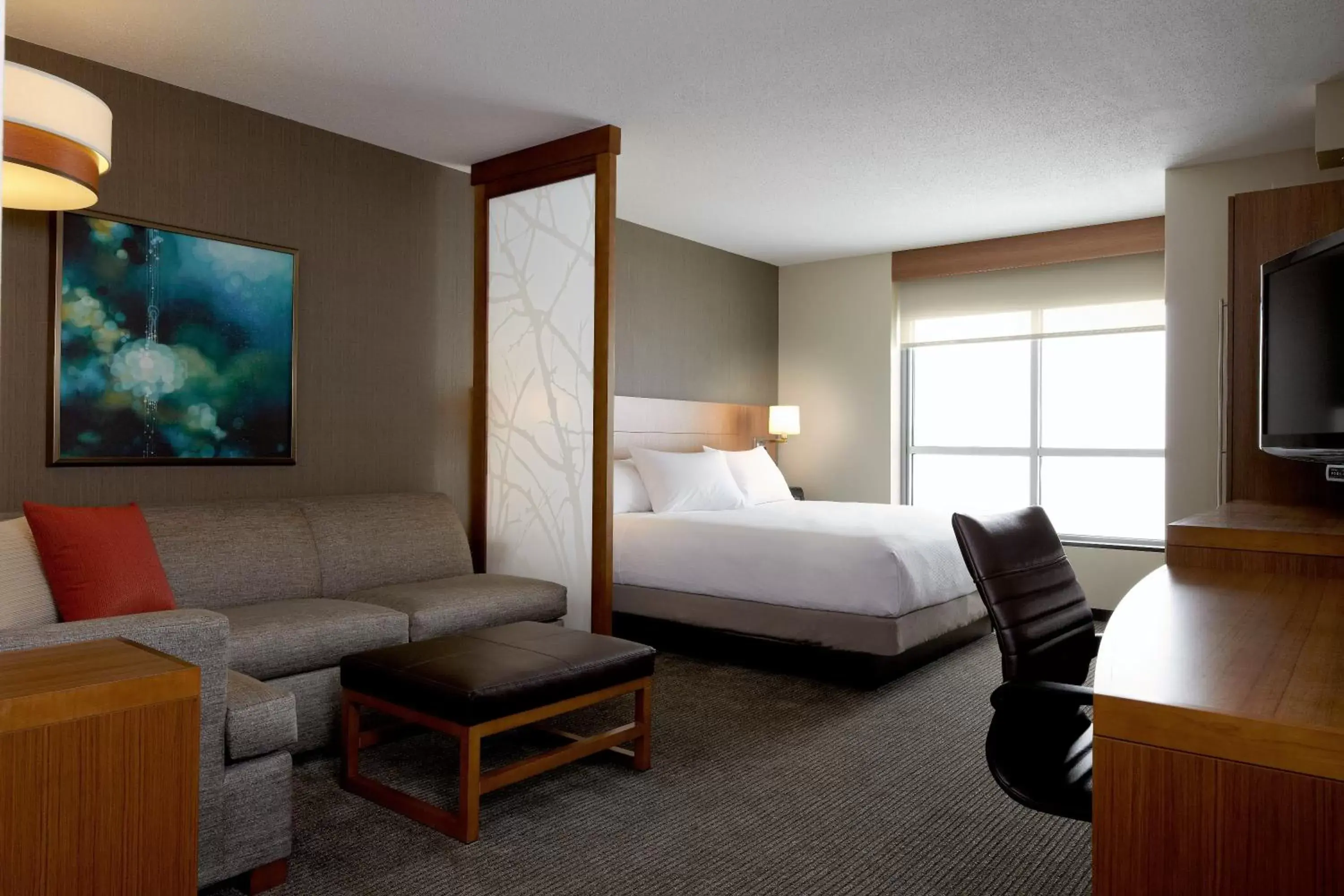 Photo of the whole room in Hyatt Place Boise/Downtown