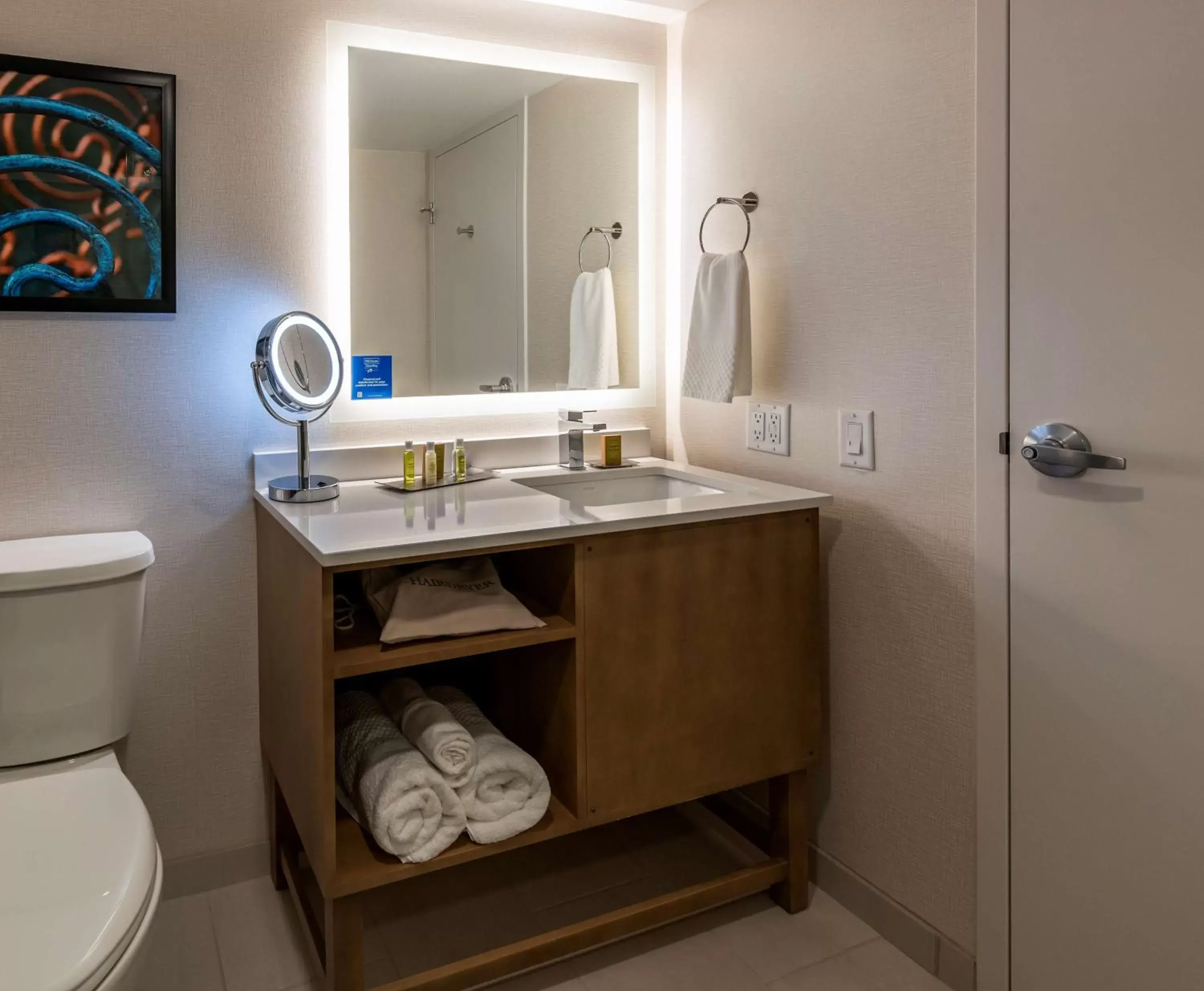 Bathroom in Doubletree By Hilton Madison East