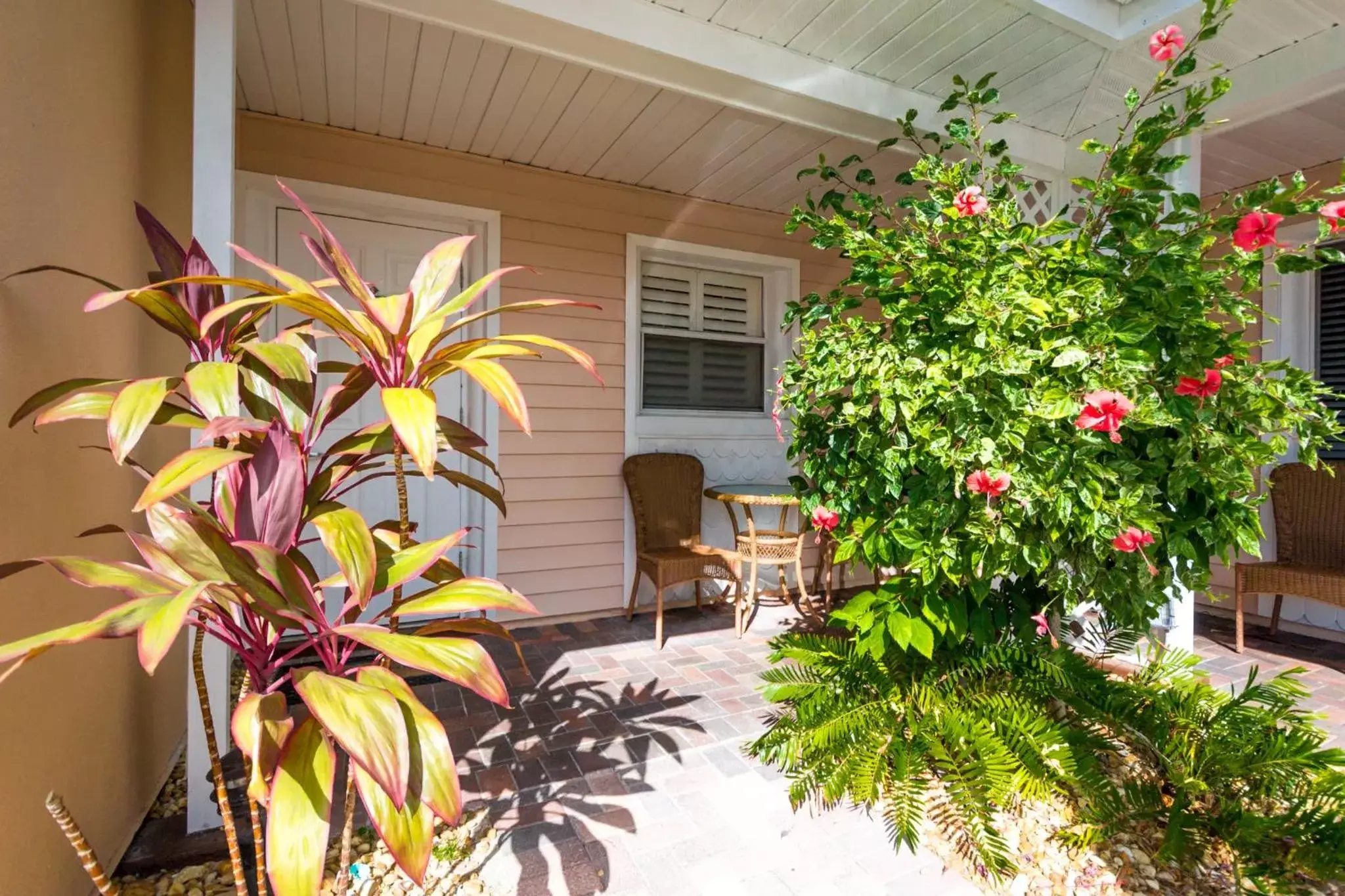 Patio in Tropical Beach Resorts - Sarasota