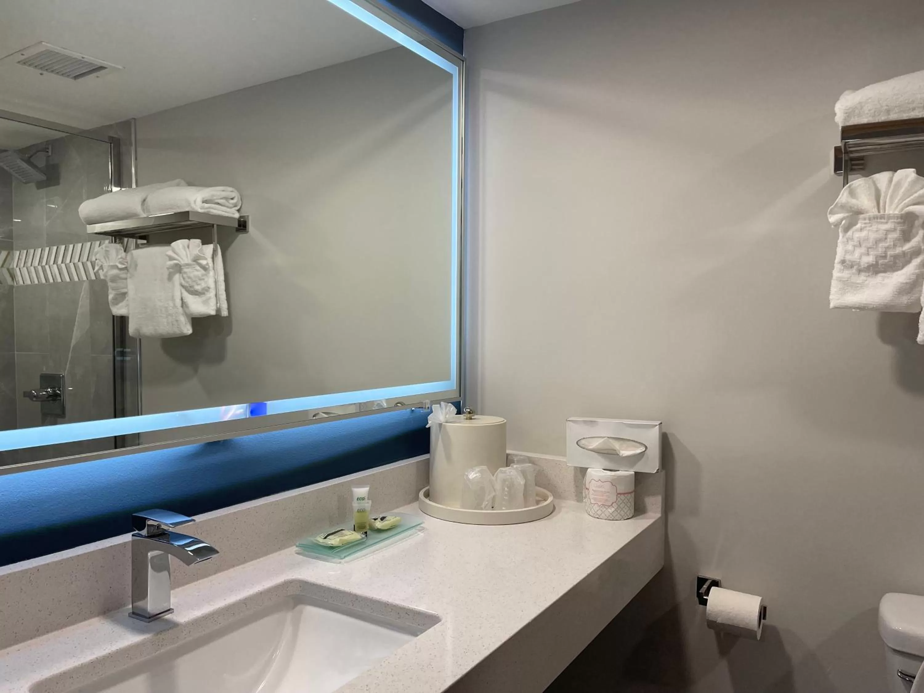 Bathroom in Chateau Hotel and Conference Center