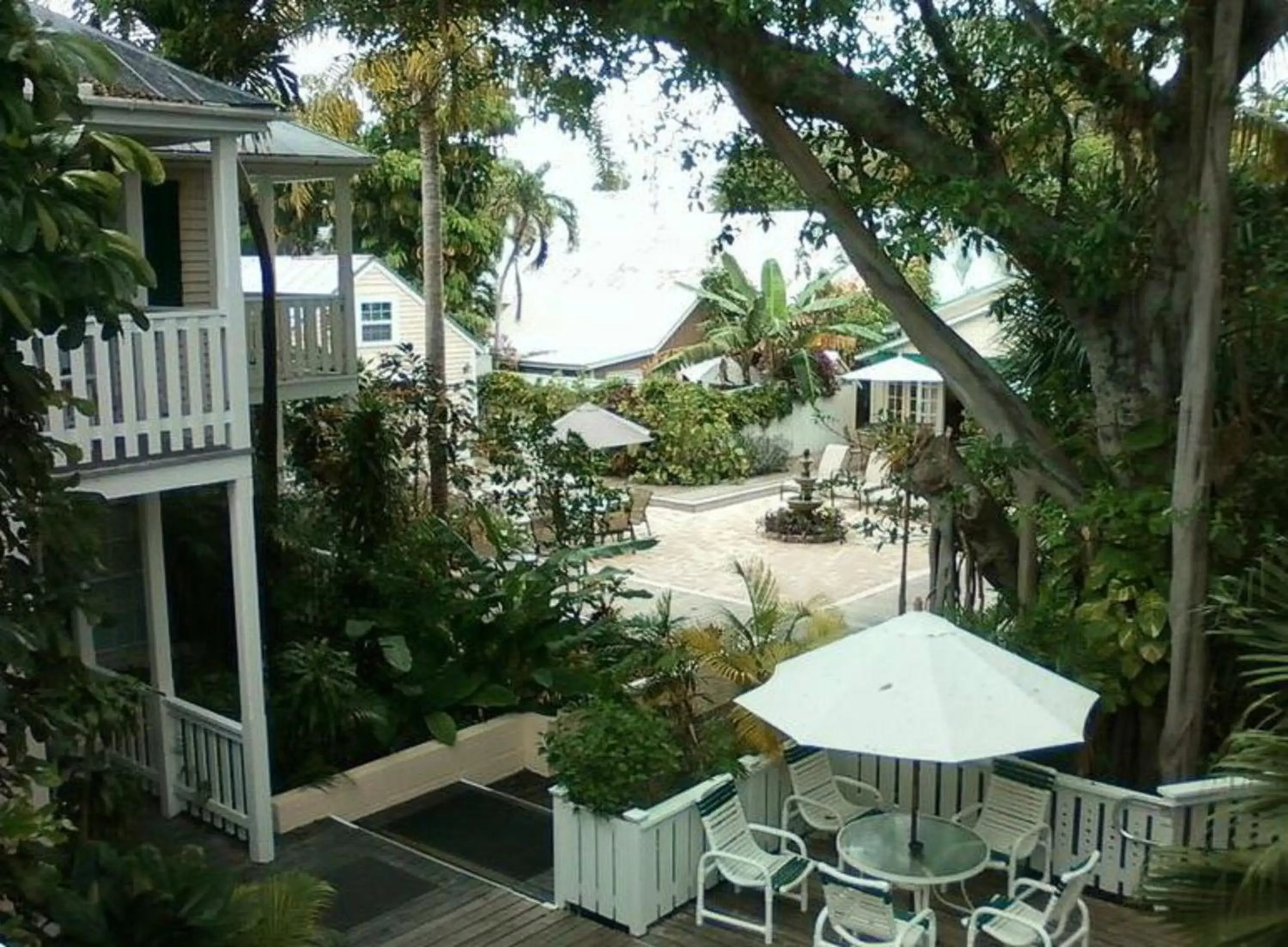 Garden view, Pool View in Duval House