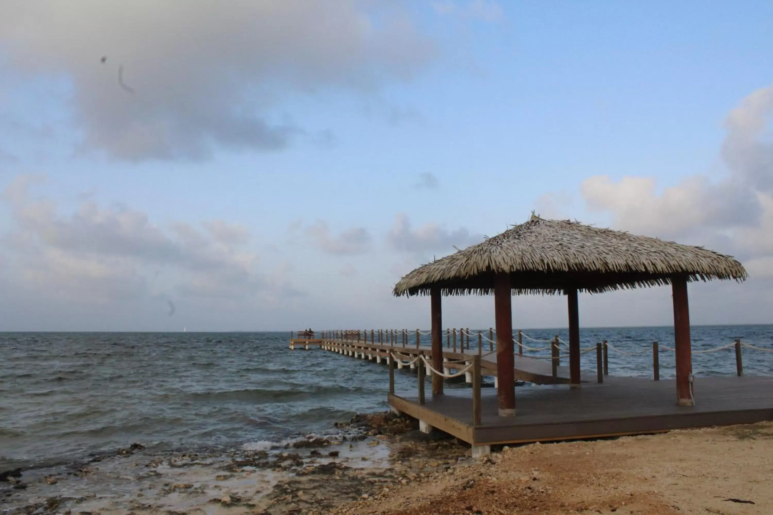 Sea view, Beach in Holiday Inn Resort Grand Cayman, an IHG Hotel