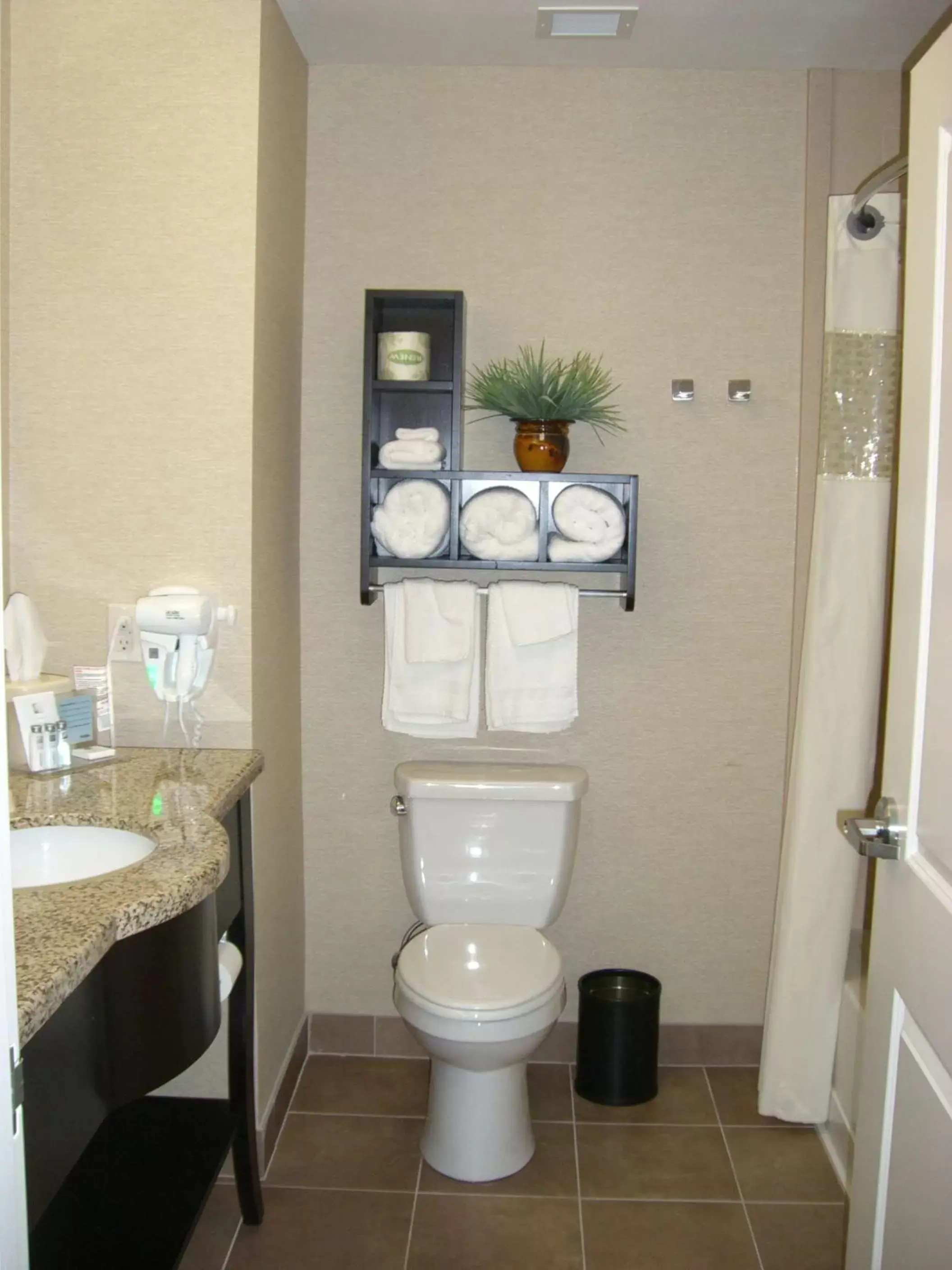 Bathroom in Hampton Inn and Suites Pueblo/North