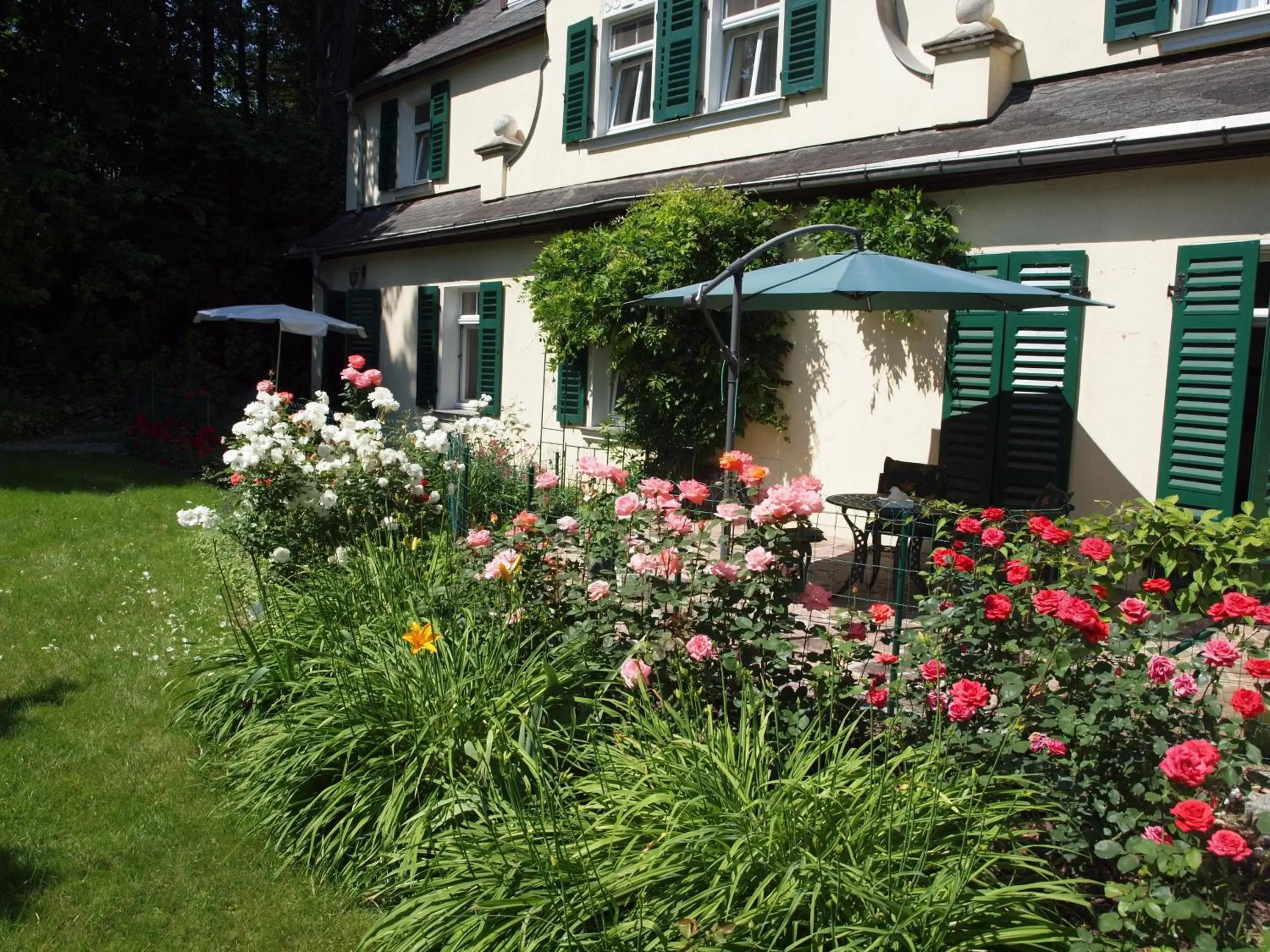 Garden, Property Building in Hotel & Restaurant Bellevue Schmölln