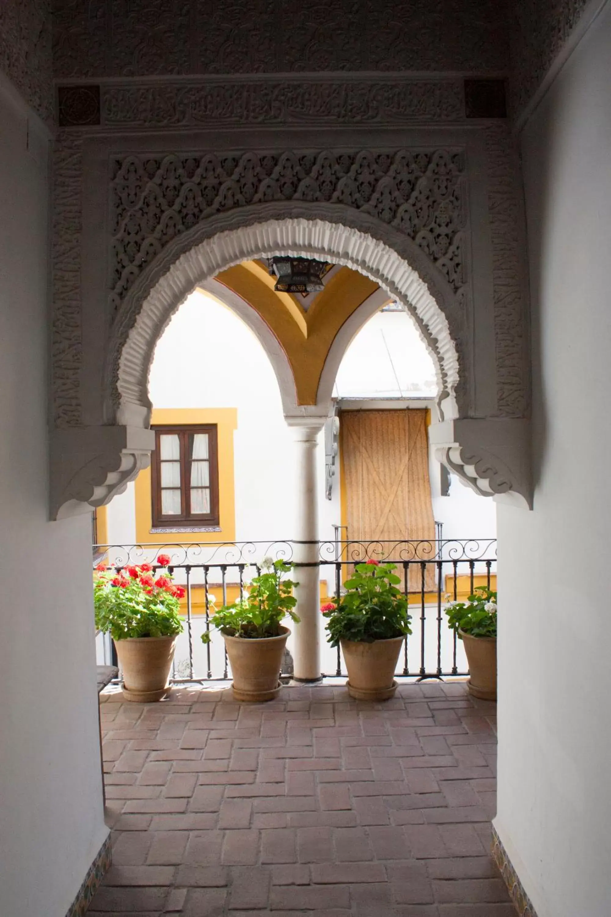 Garden in Hotel Casa Imperial