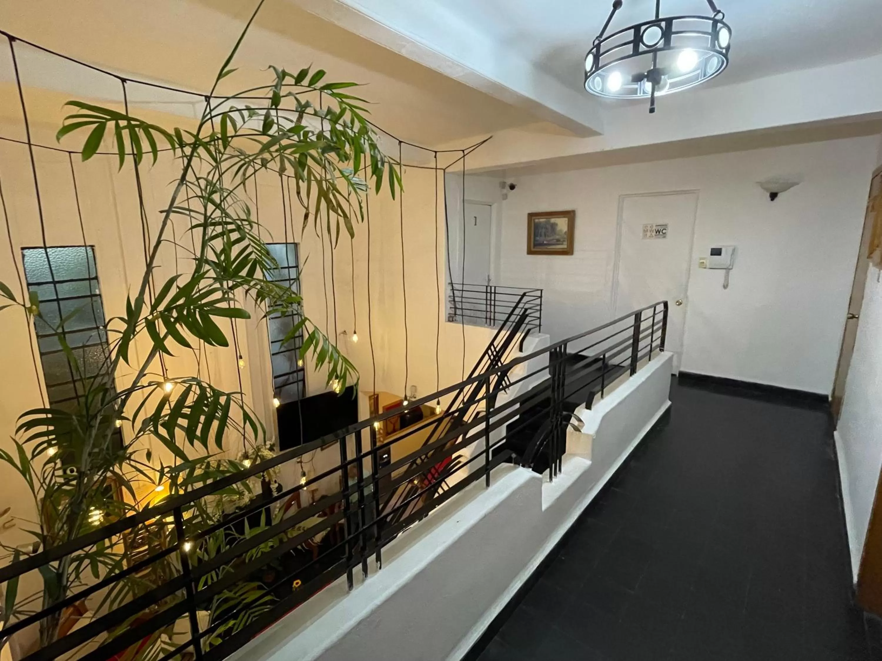 View (from property/room) in Hostal Roma Condesa