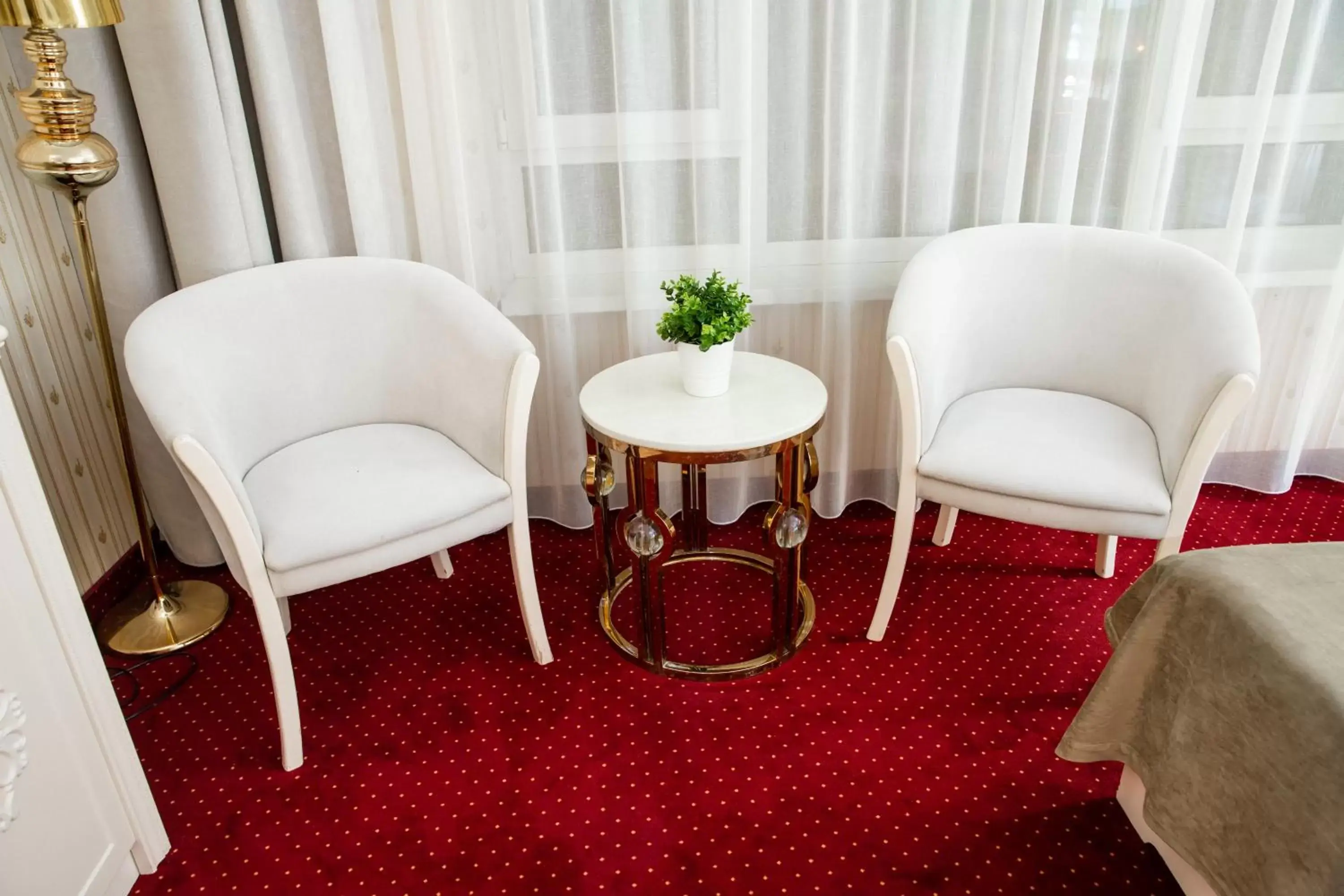 Photo of the whole room, Seating Area in Hotel Carpathia