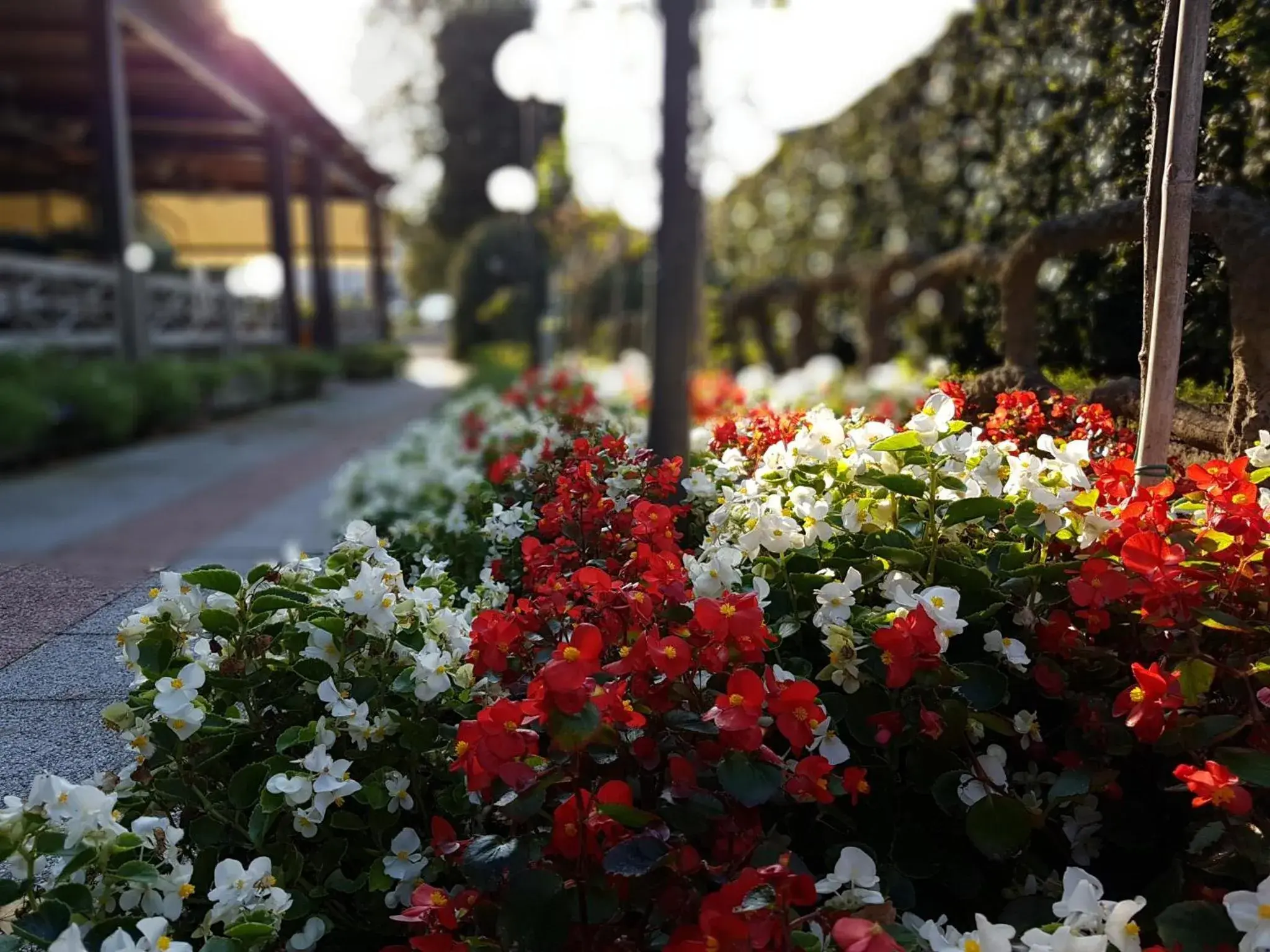 Garden in Hotel Bel Sito