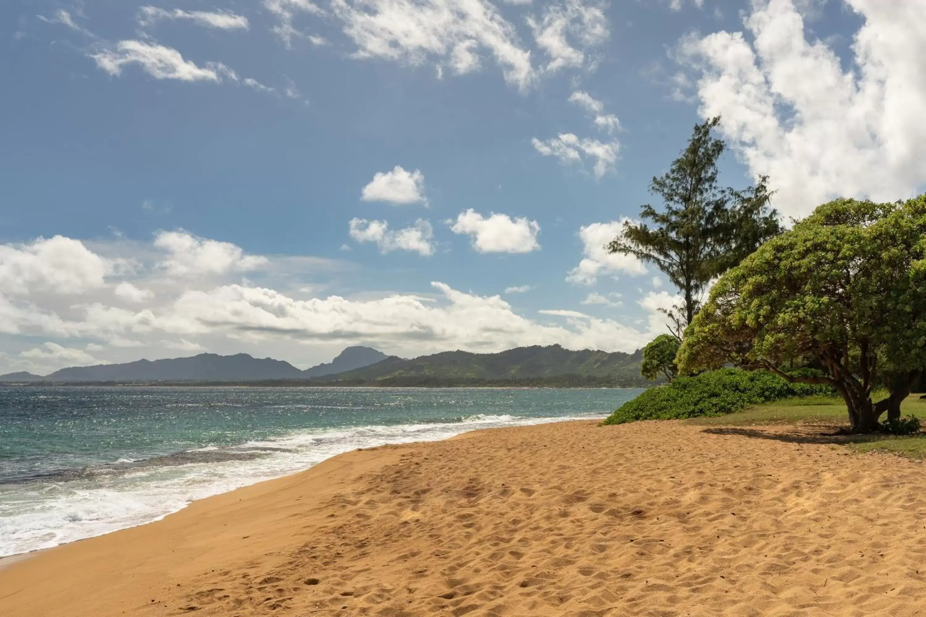 Beach in Sheraton Kauai Coconut Beach Resort