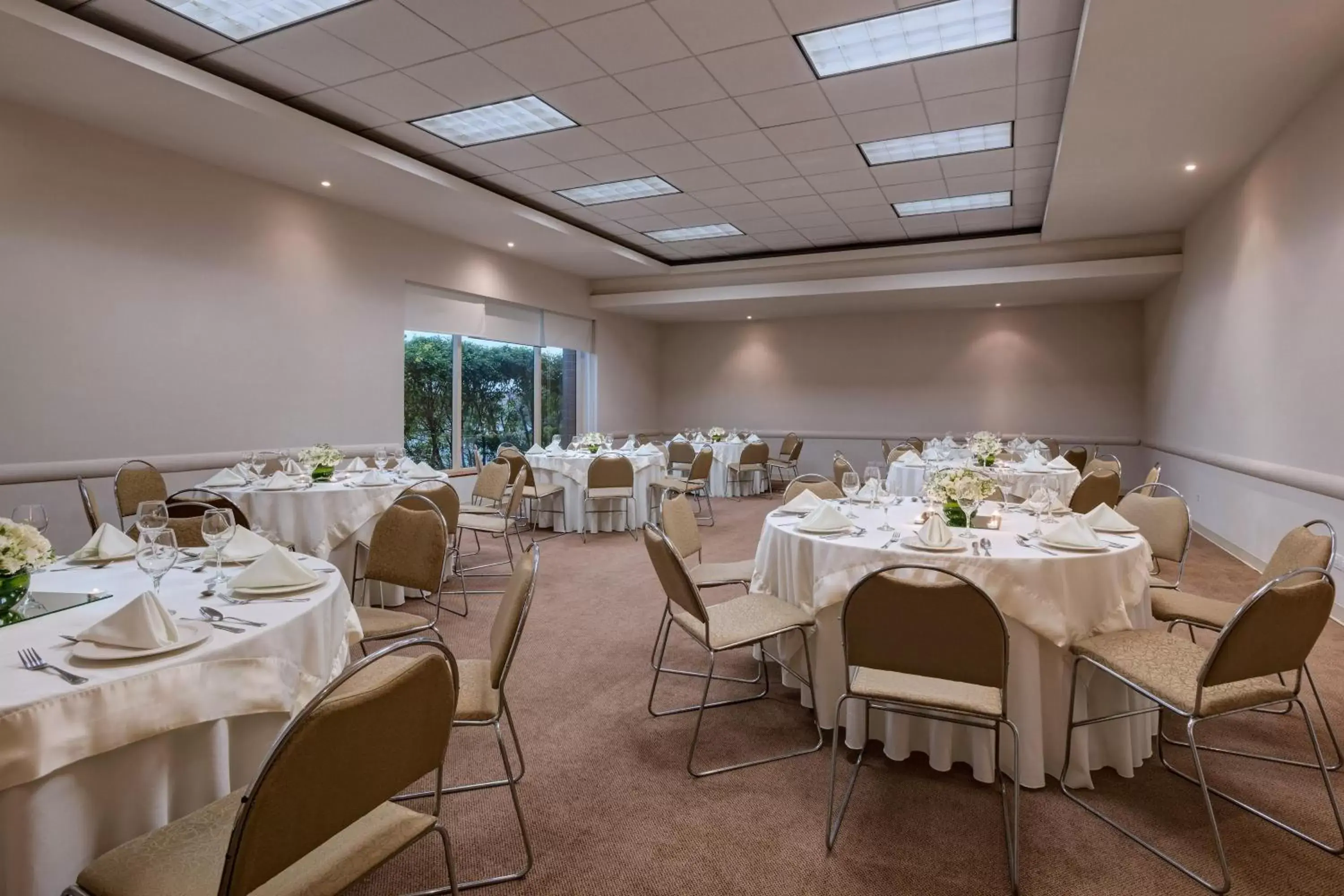 Meeting/conference room, Restaurant/Places to Eat in Four Points by Sheraton Monterrey Linda Vista