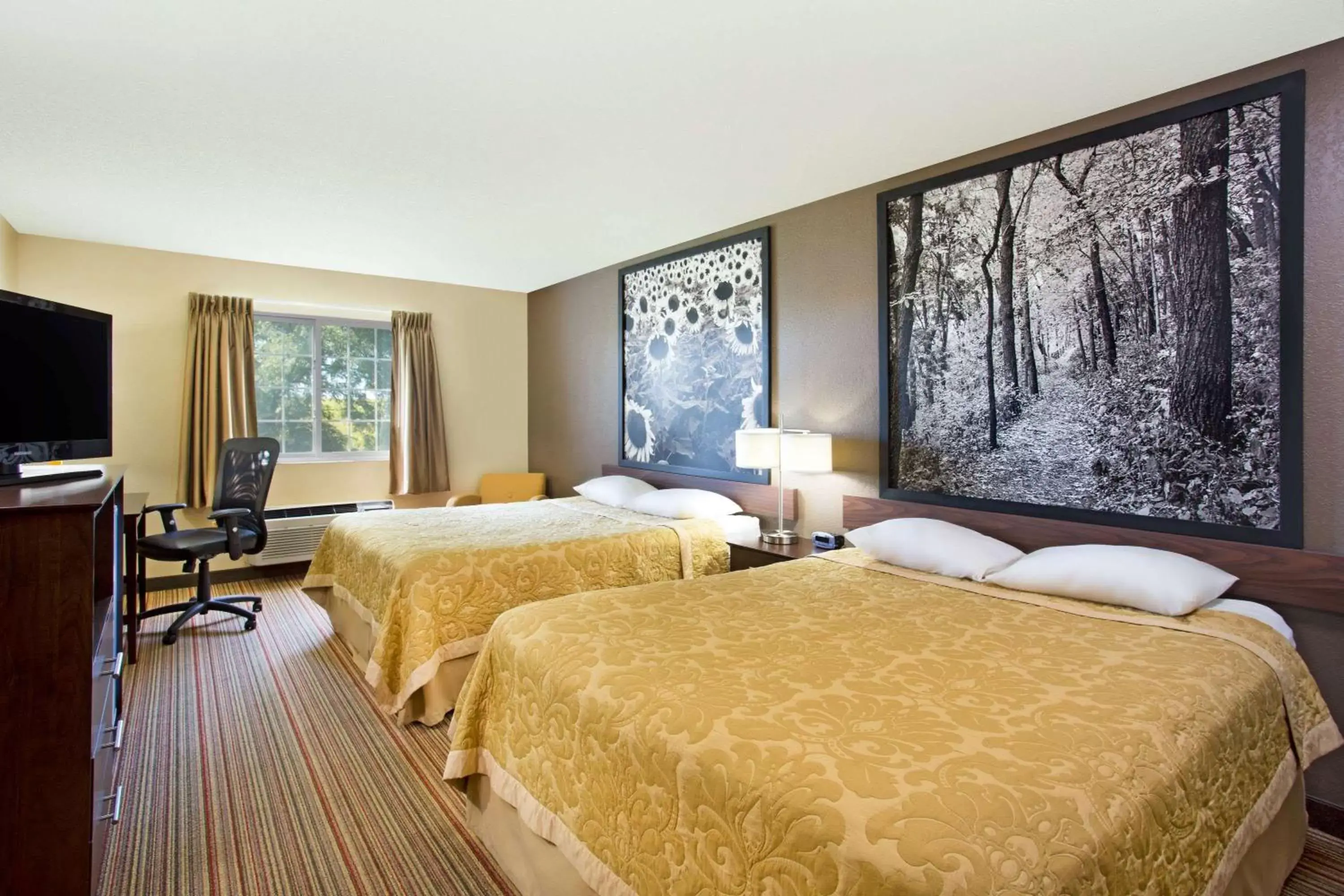 Photo of the whole room, Bed in Super 8 by Wyndham New Hampton