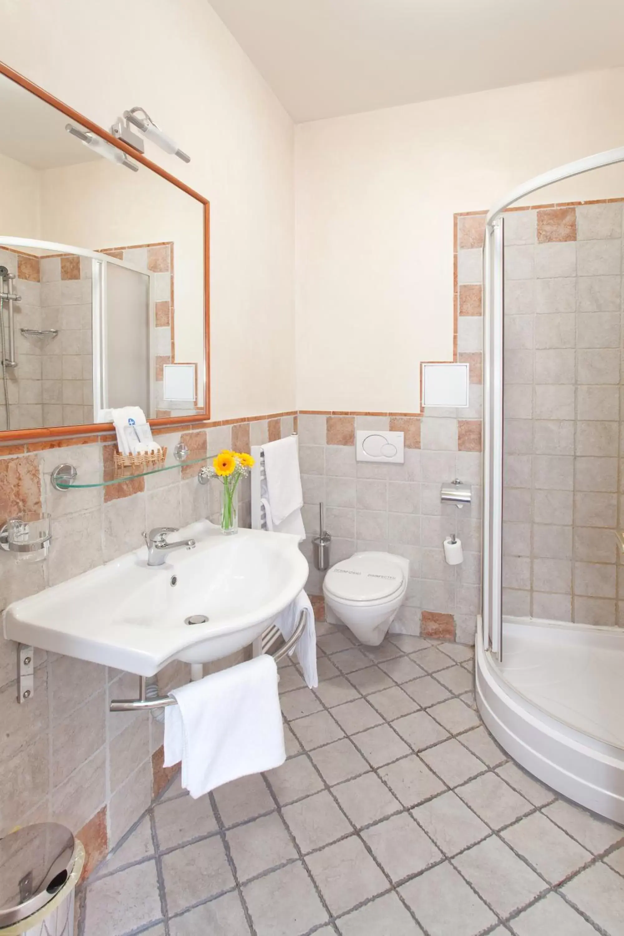 Toilet, Bathroom in Hotel Tivoli Prague