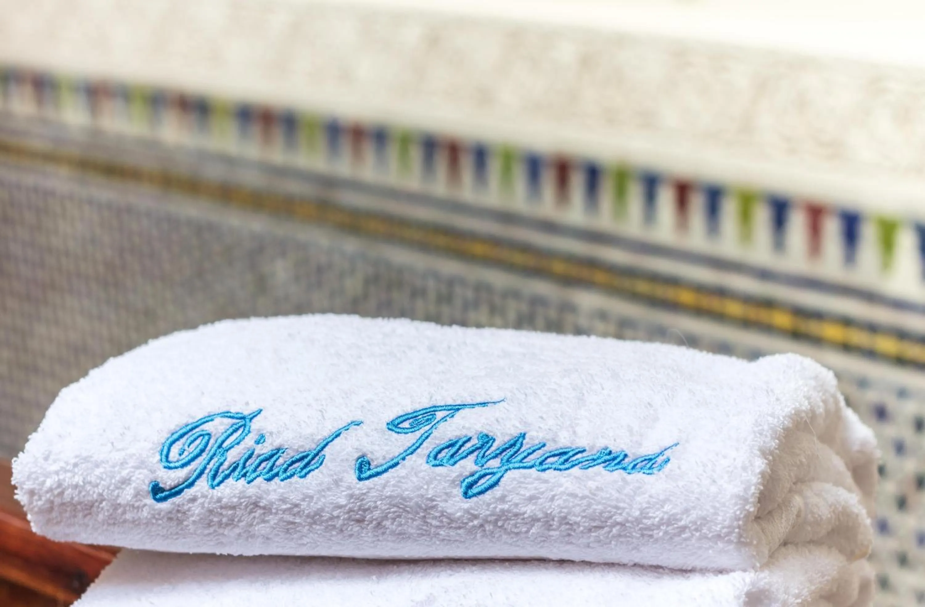 Decorative detail in Riad Taryana