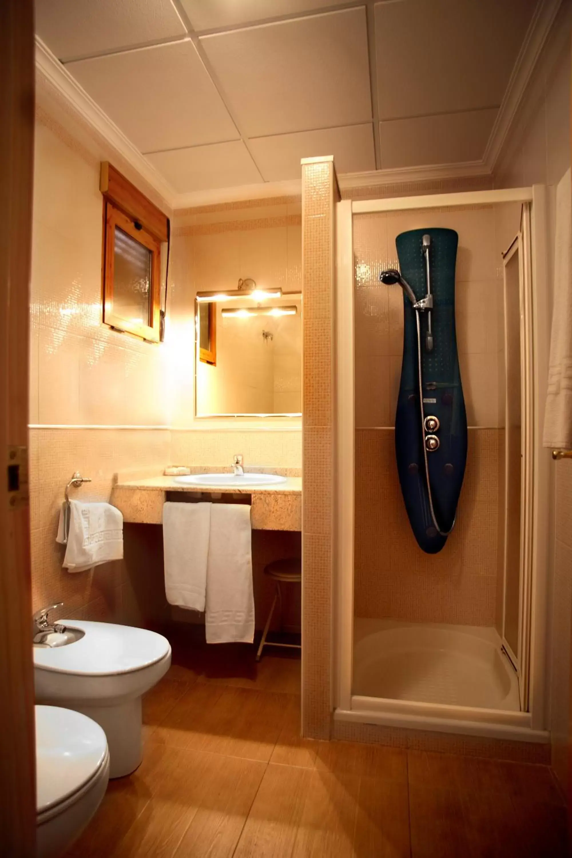 Shower, Bathroom in Hotel La Moraleda - Complejo Las Delicias
