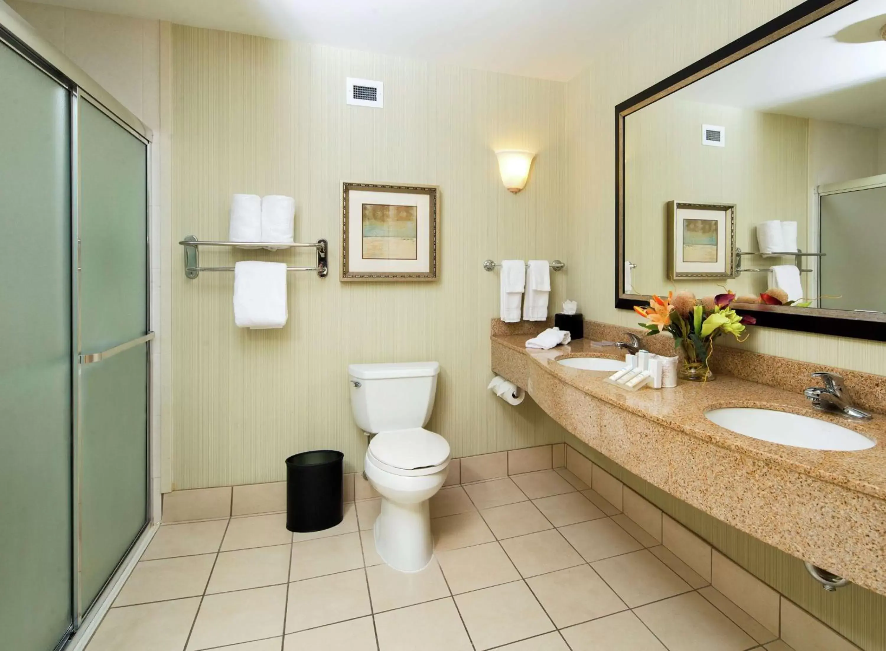 Bathroom in Hilton Garden Inn Valdosta