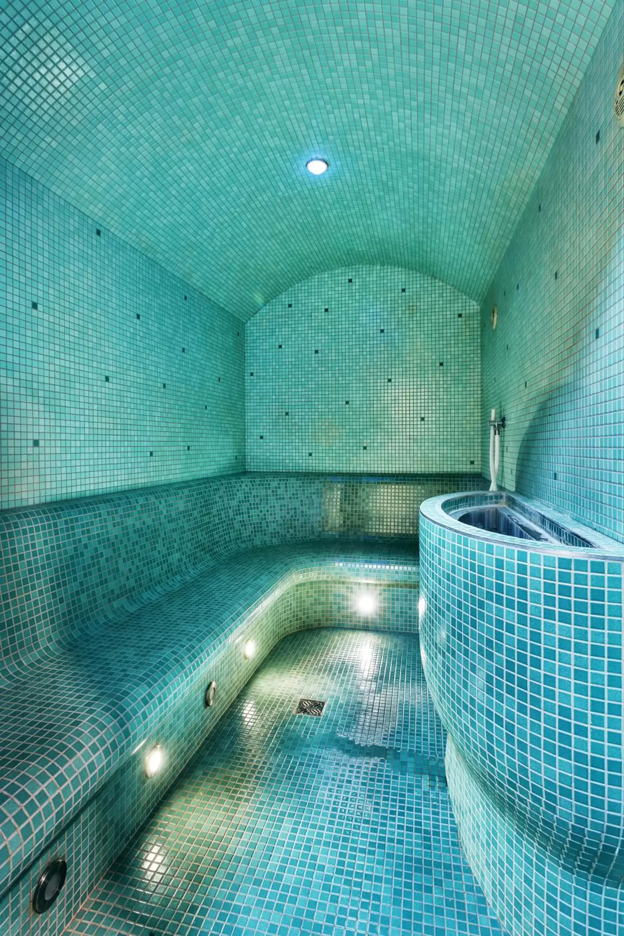 Steam room, Swimming Pool in Vienna House Easy by Wyndham Pilsen