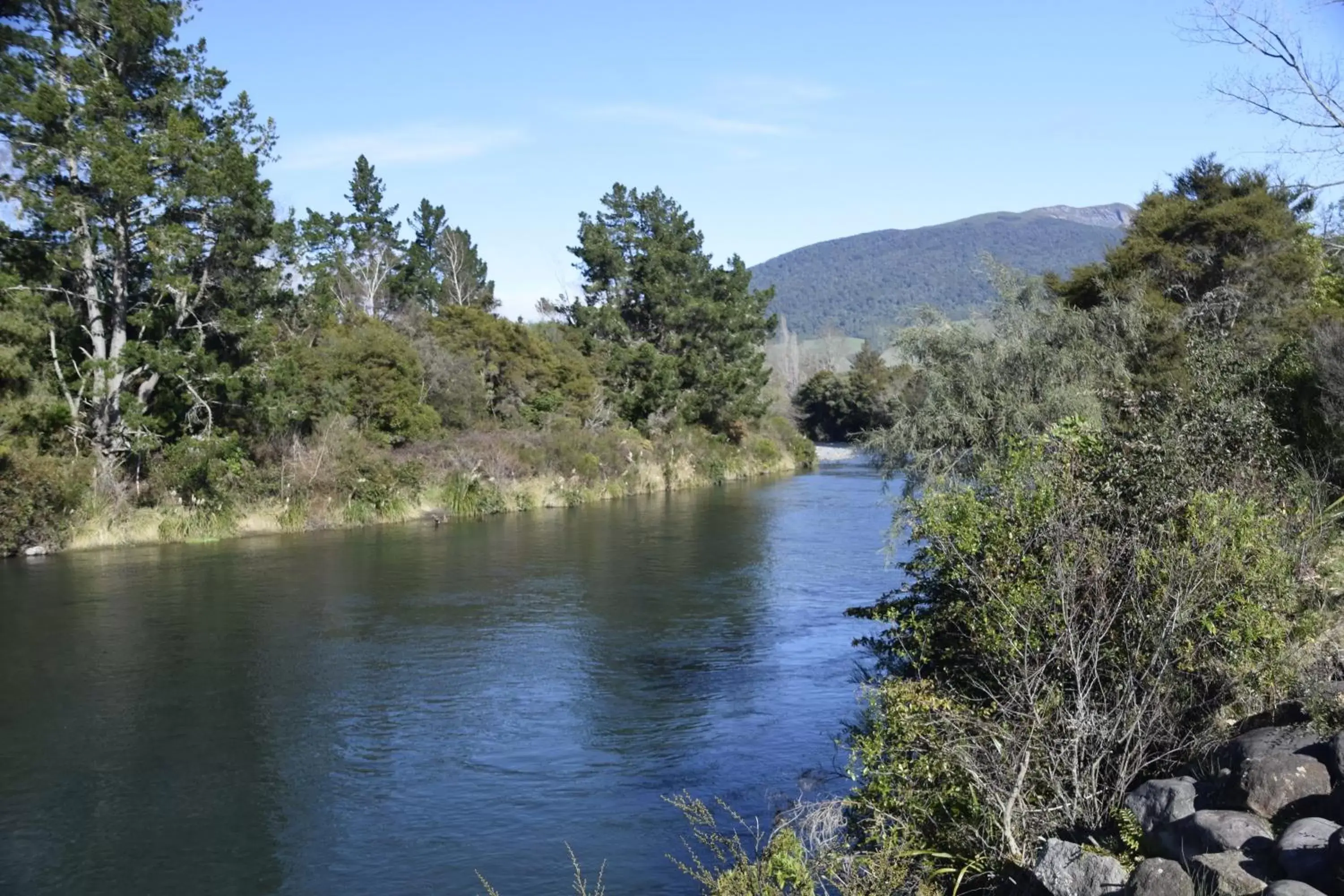 Fishing in Judges Pool Motel Turangi