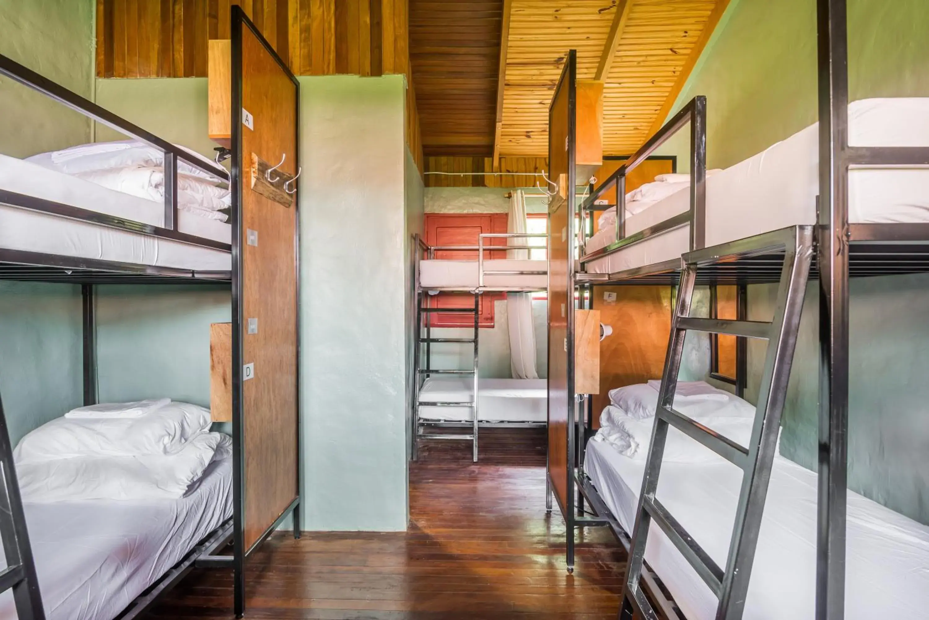 Bedroom, Bunk Bed in Selina Monteverde