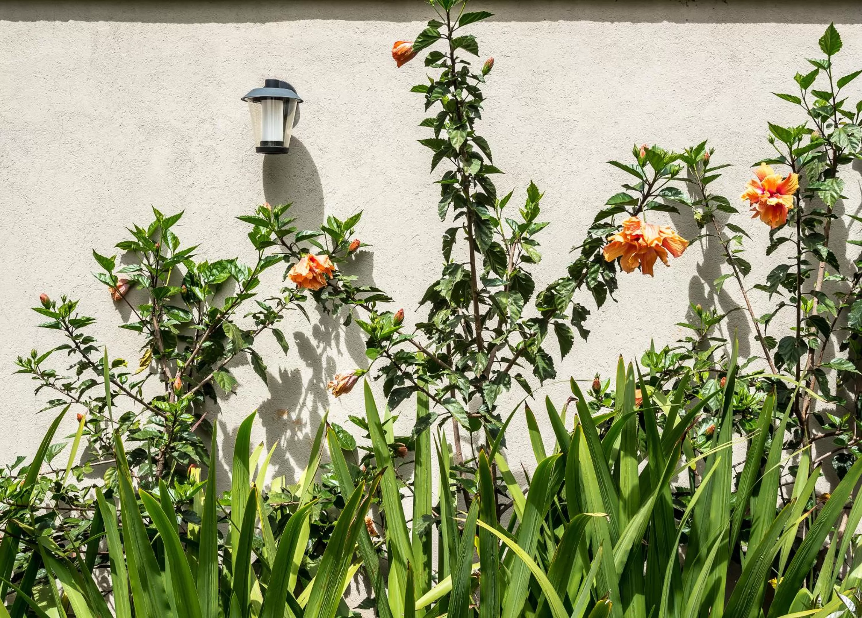 Property building in Executive Residency by Best Western Nairobi