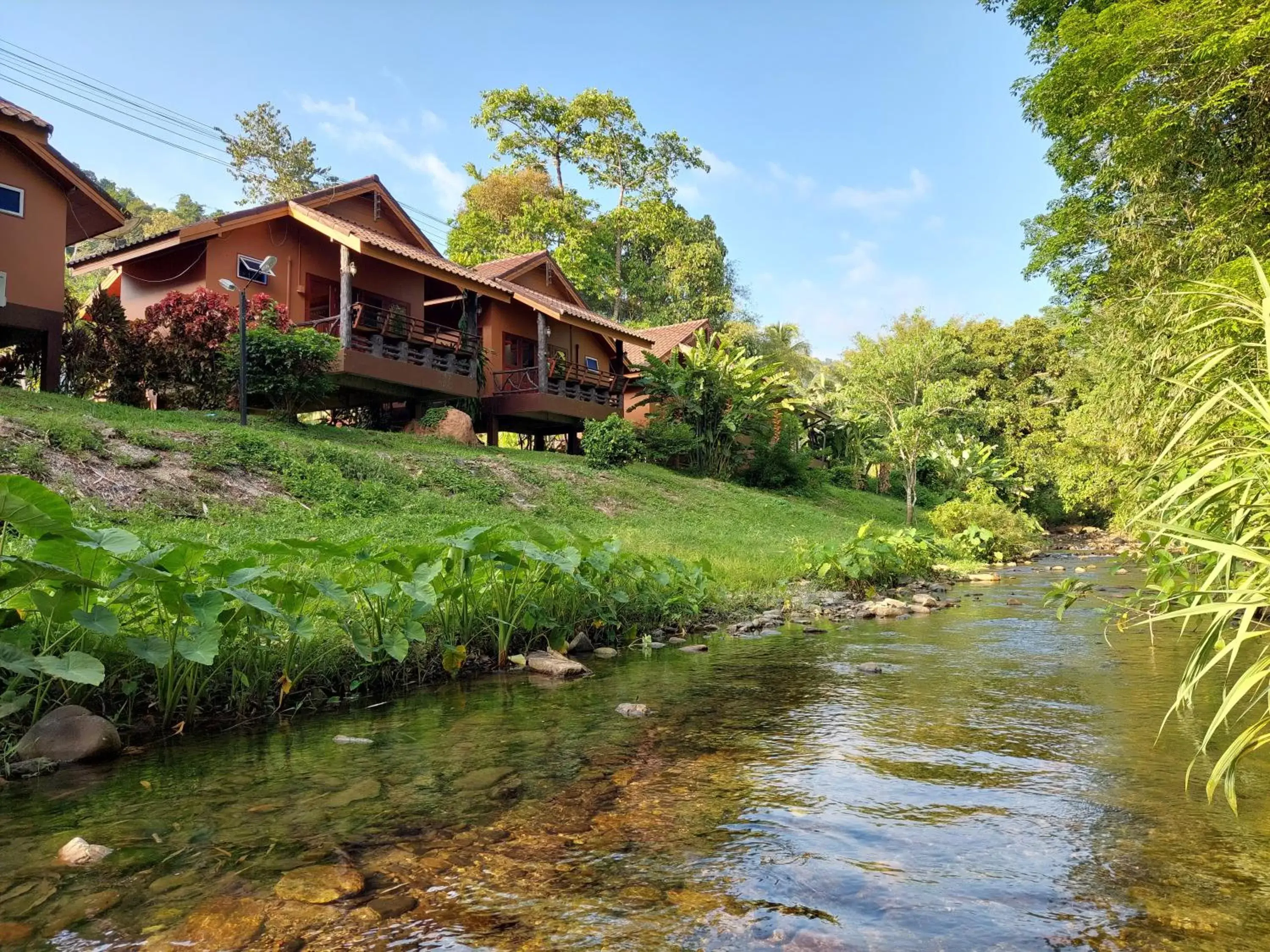 Property Building in Khaosok Rainforest Resort