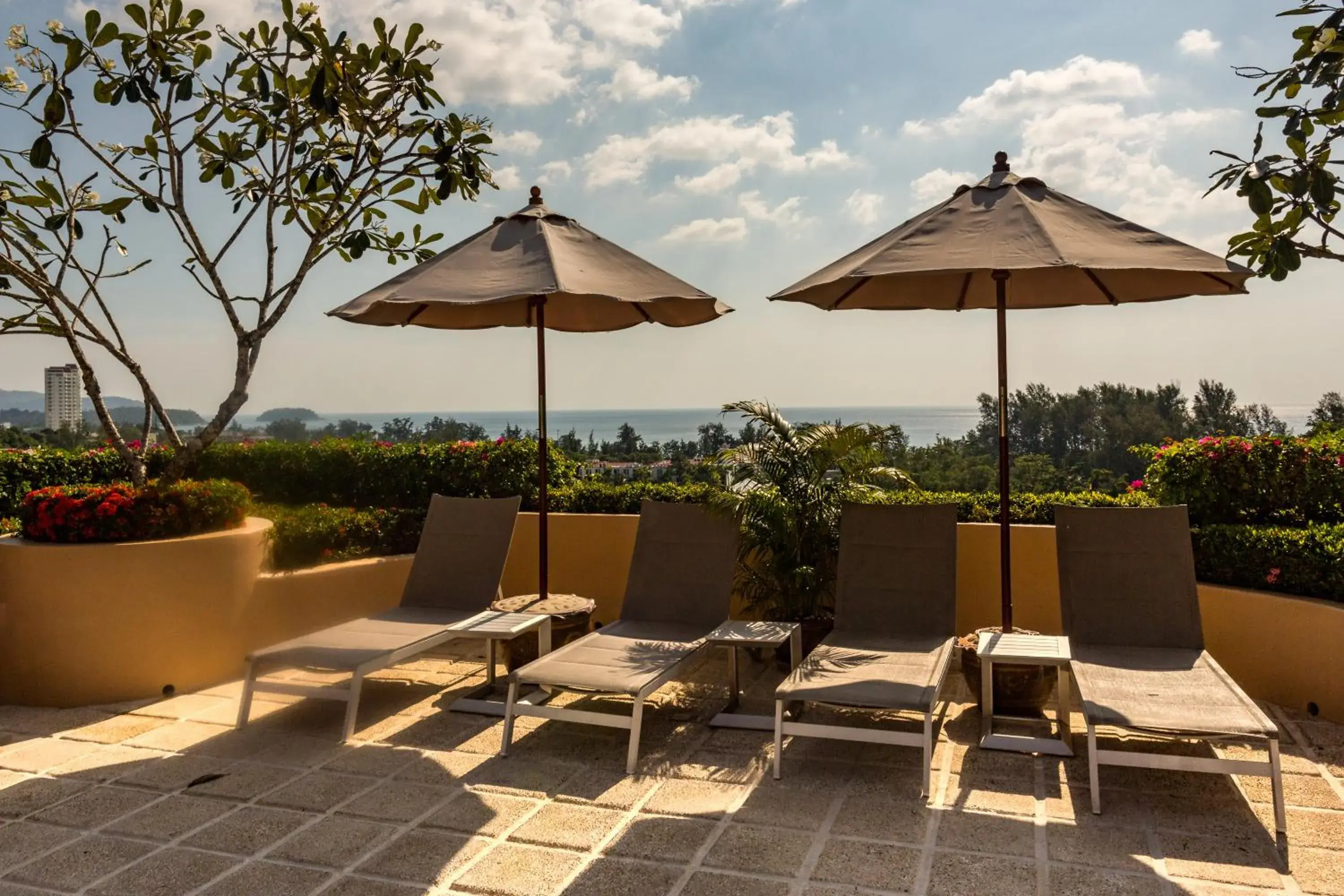 Swimming pool in Pacific Club Resort Swimming pool in Pacific Club Resort