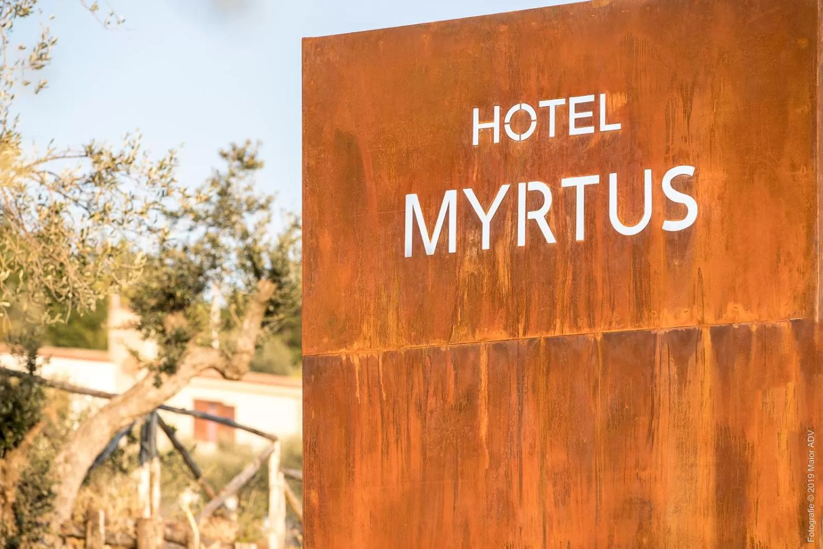 Decorative detail in HOTEL MYRTUS