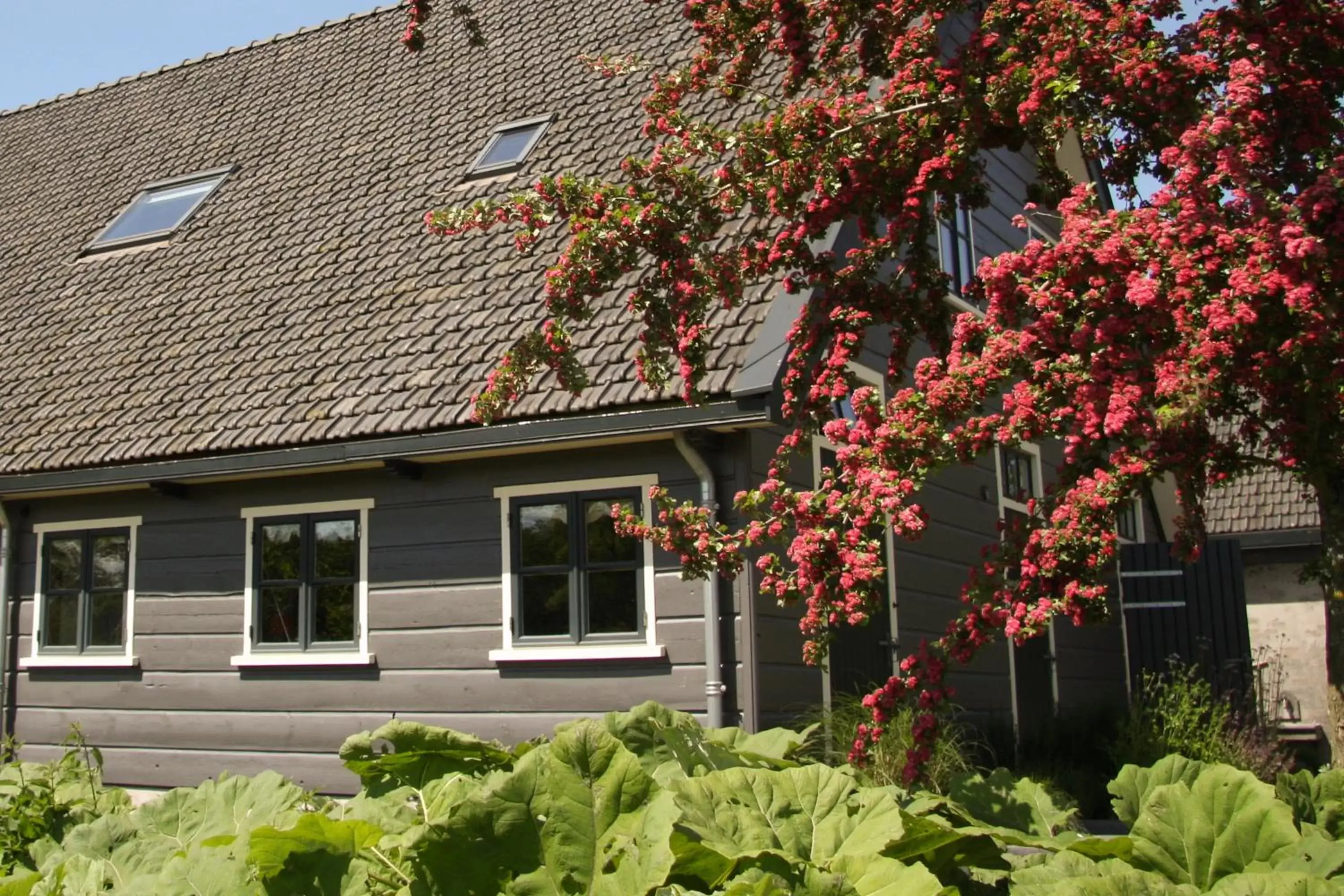 Garden, Property Building in Boerenhofstede de Overhorn