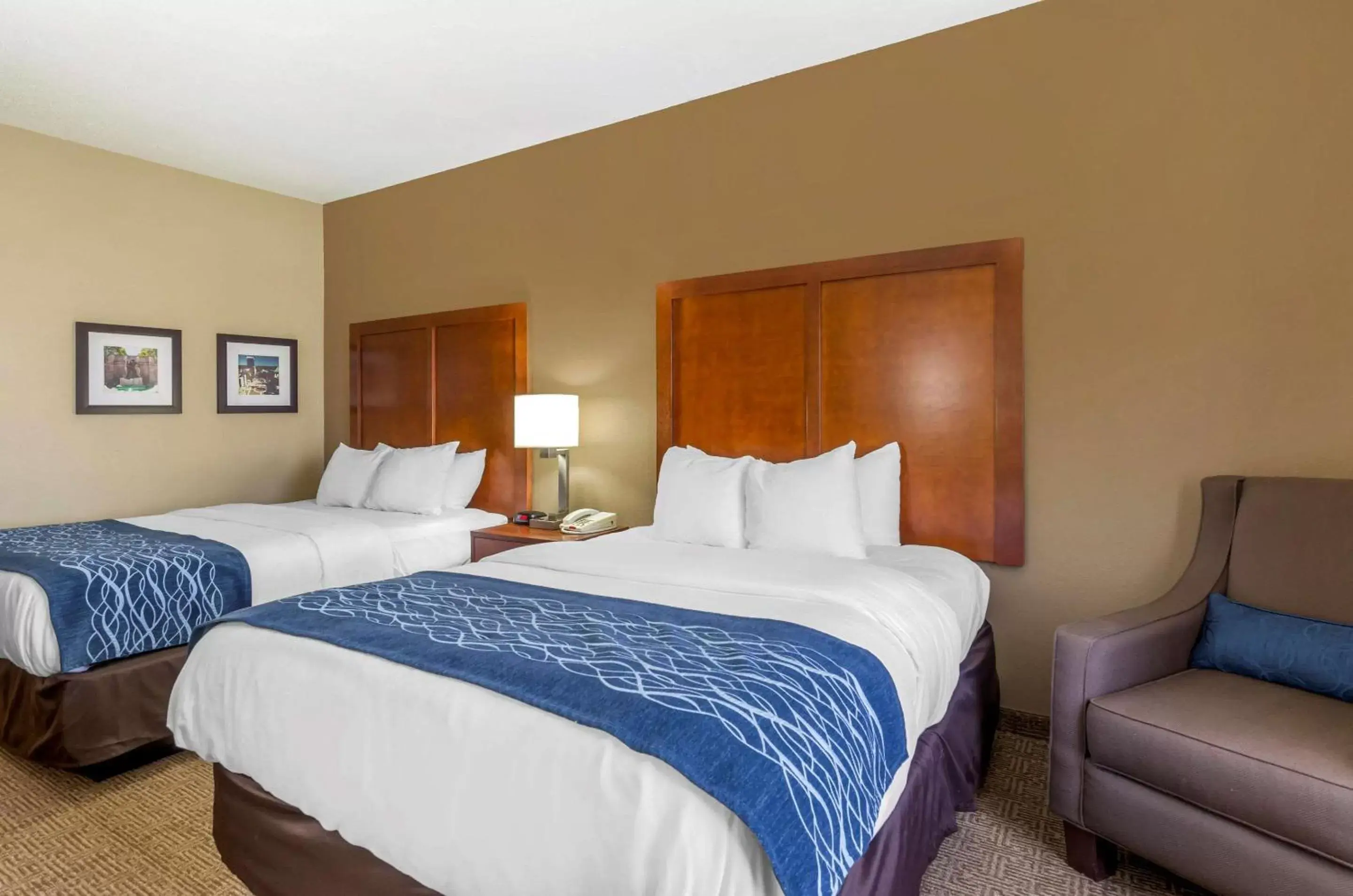Photo of the whole room, Bed in Comfort Inn & Suites Lynchburg Airport - University Area
