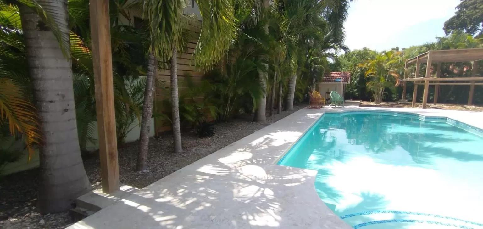 Swimming pool in B&B Pavillion