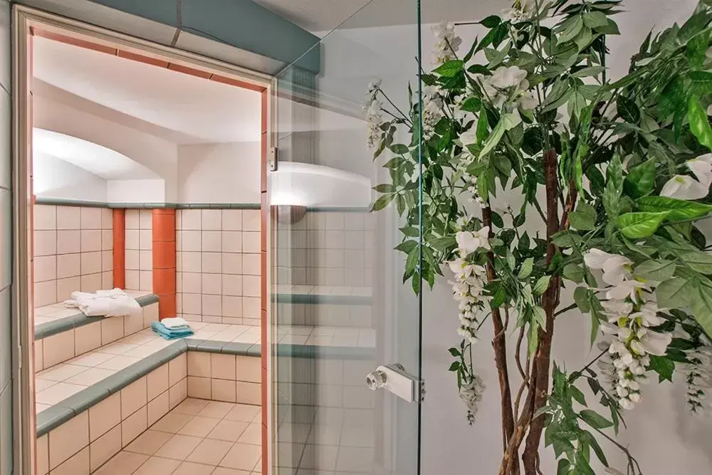 Spa and wellness centre/facilities, Bathroom in Hotel Nordkap