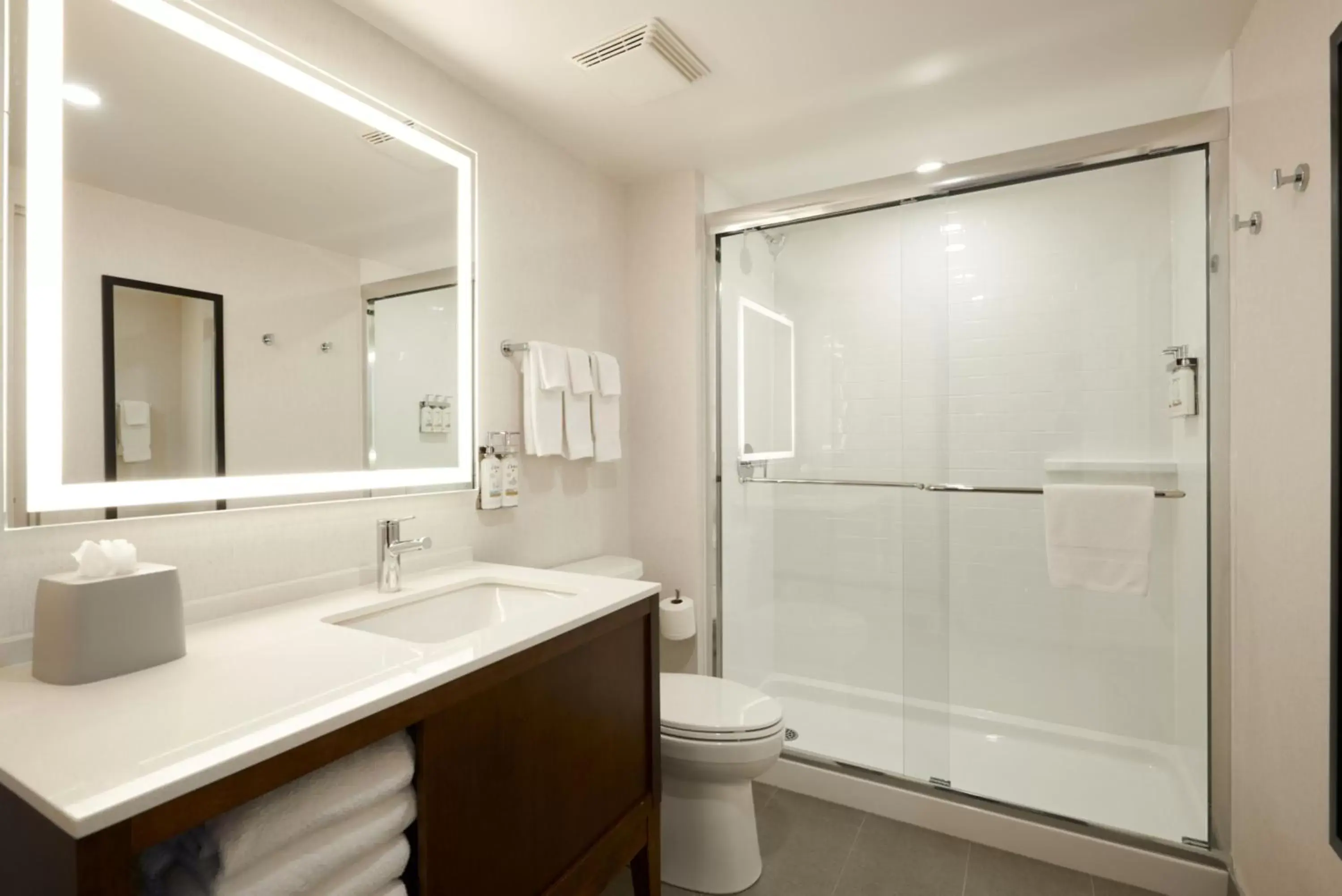 Bathroom in Holiday Inn & Suites Ottawa Kanata, an IHG Hotel